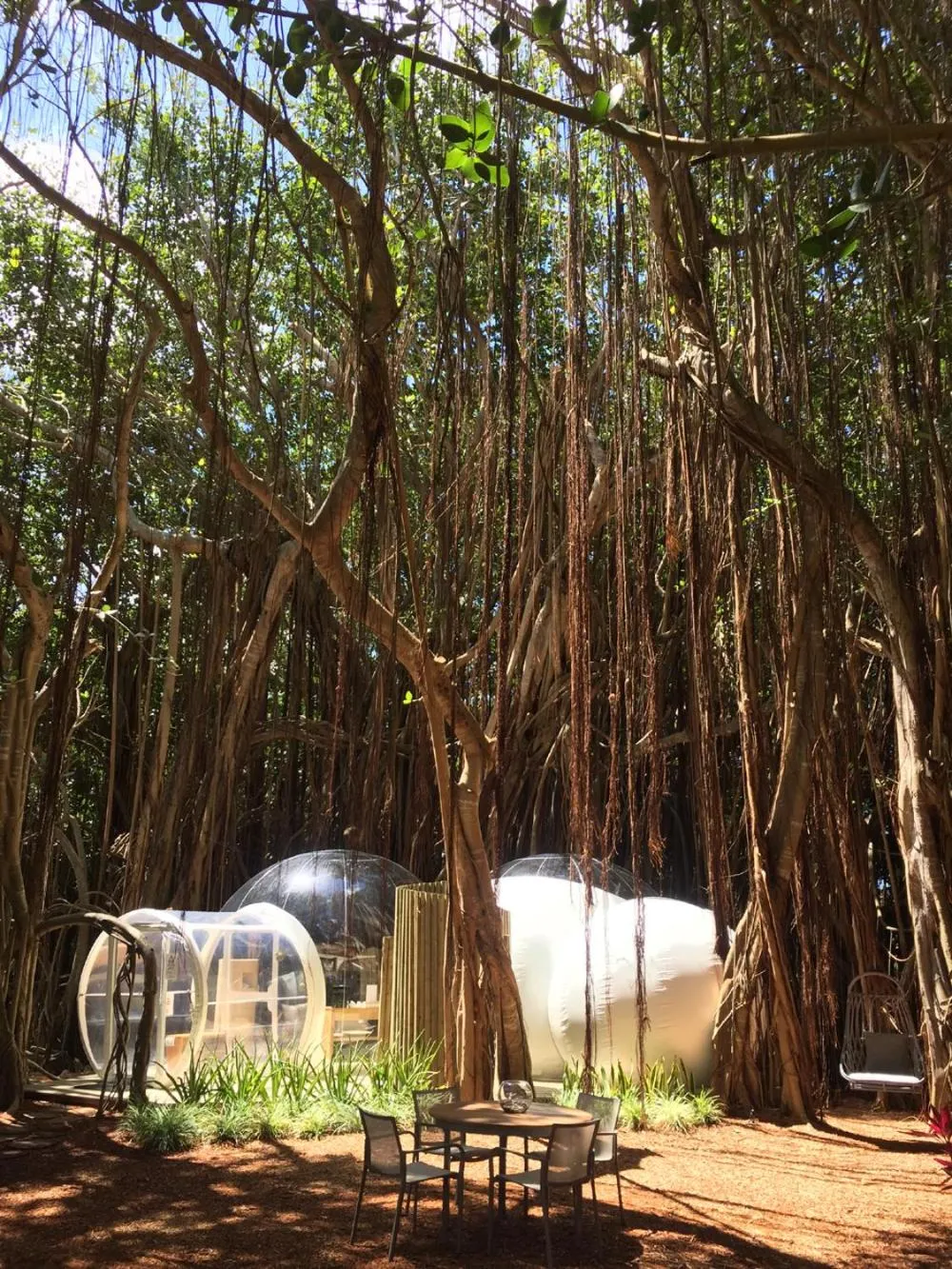 Garden in Bubble Lodge Ile aux Cerfs Island