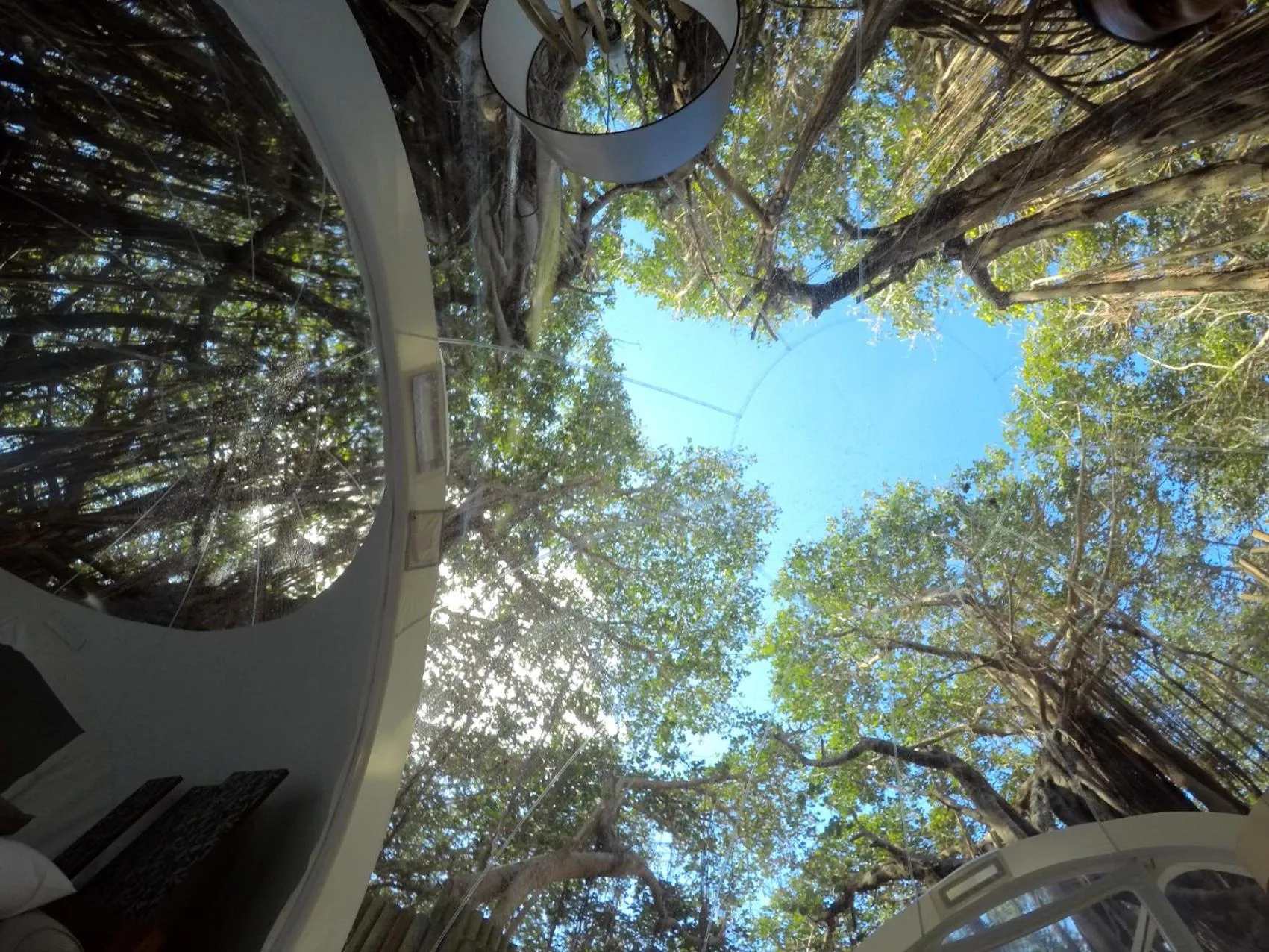 Garden view in Bubble Lodge Ile aux Cerfs Island