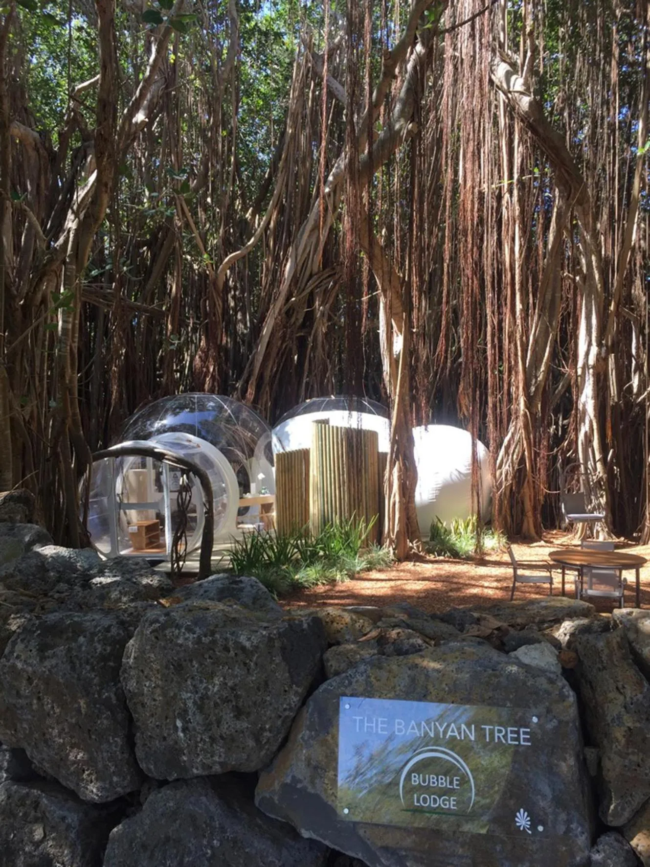 Garden in Bubble Lodge Ile aux Cerfs Island