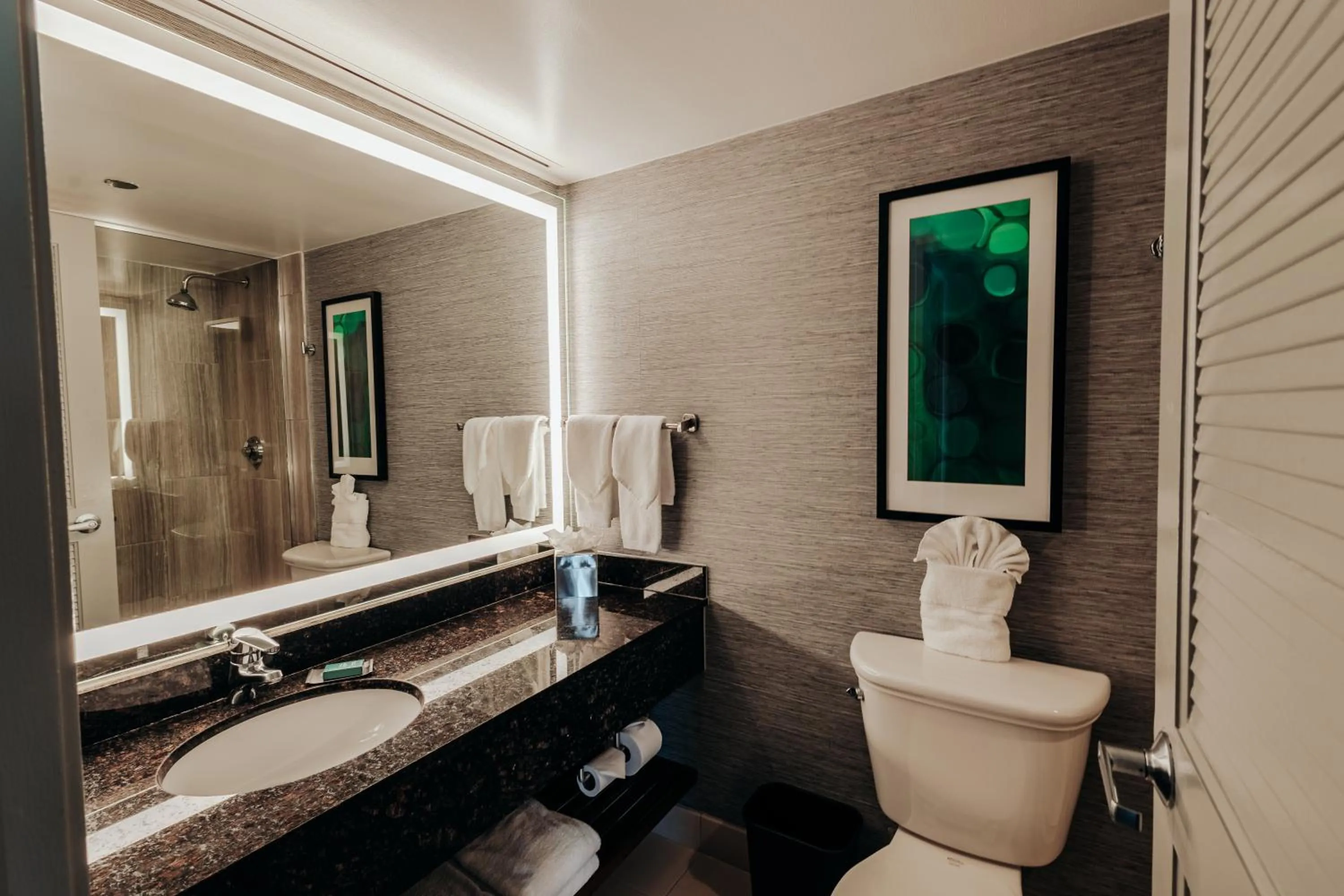 Shower in DoubleTree Suites by Hilton Hotel & Conference Center Chicago-Downers Grove