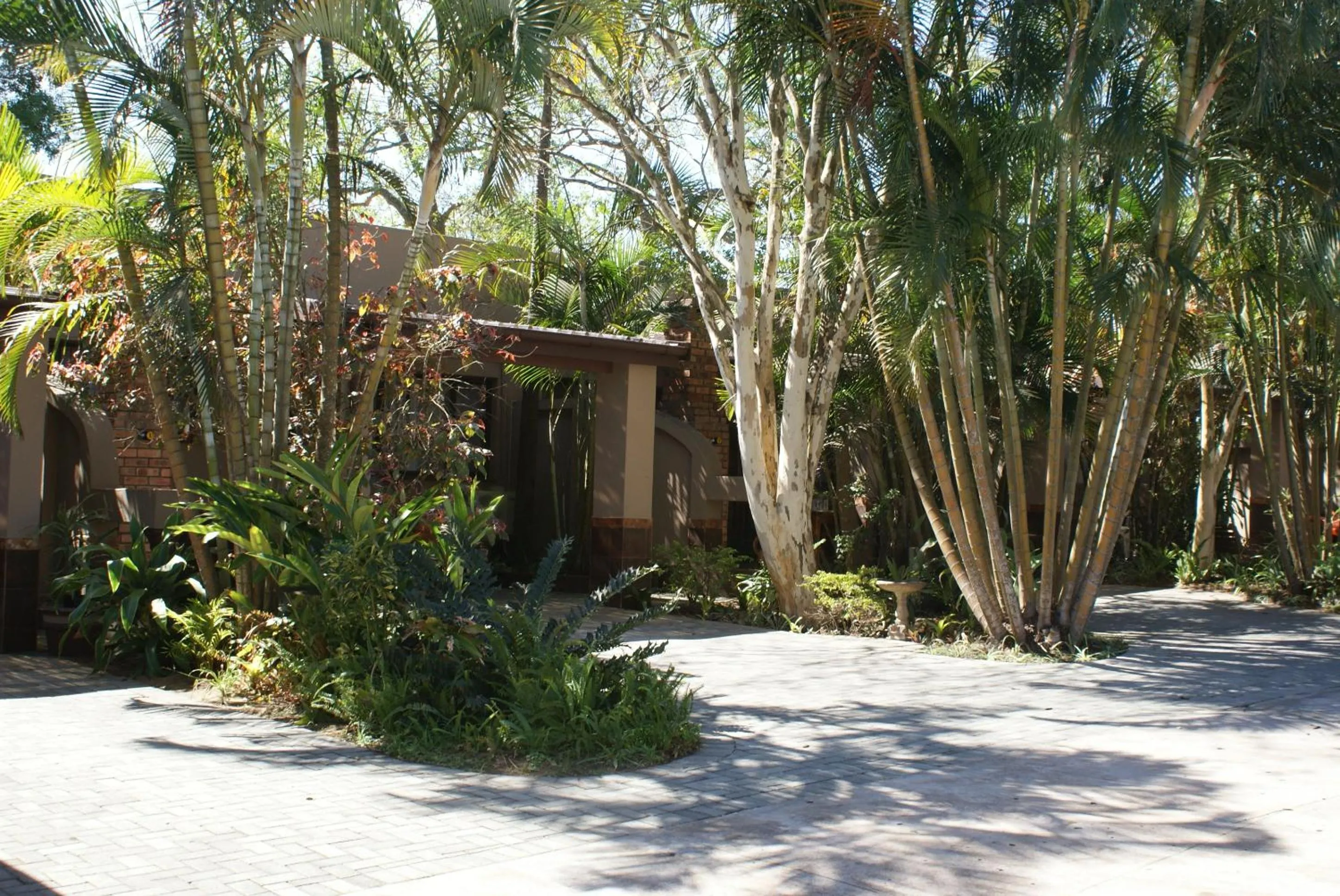 Garden in Ndiza Lodge and Cabanas