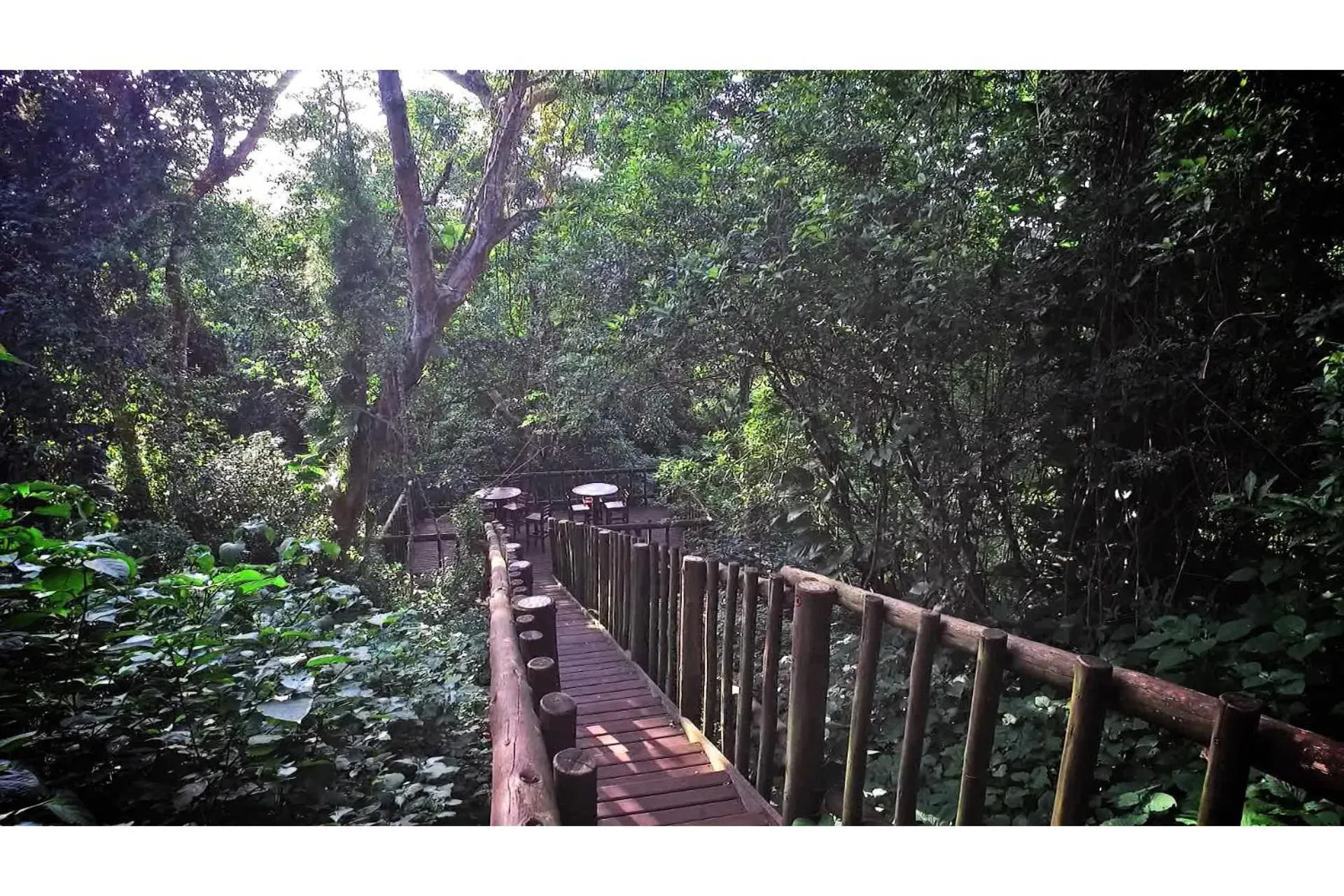 Garden in Ndiza Lodge and Cabanas