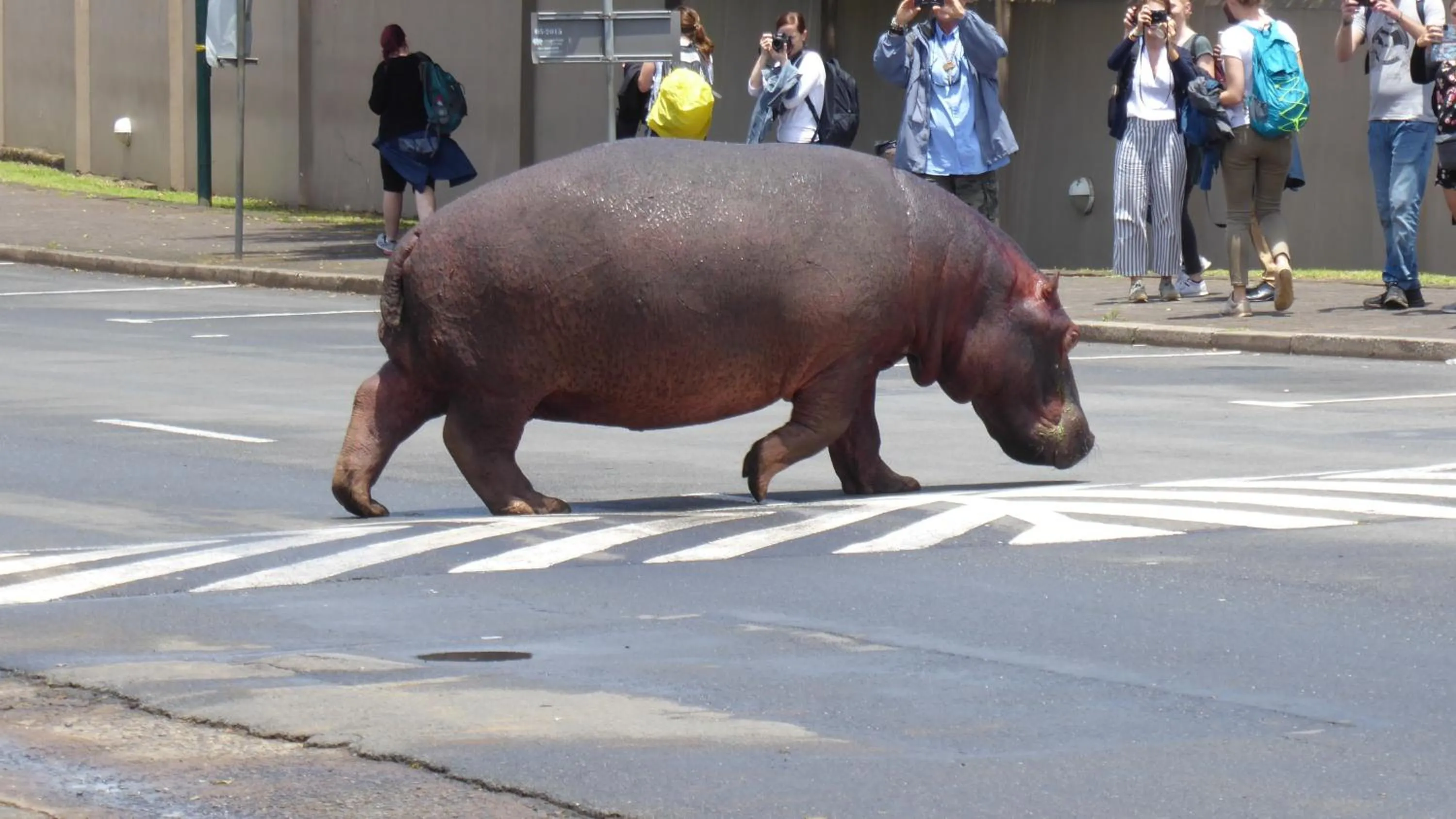 Neighbourhood in Ndiza Lodge and Cabanas