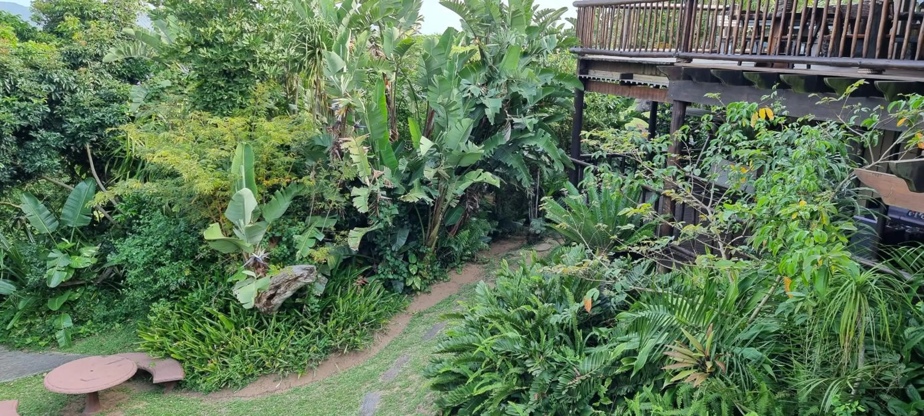 Garden in Ndiza Lodge and Cabanas
