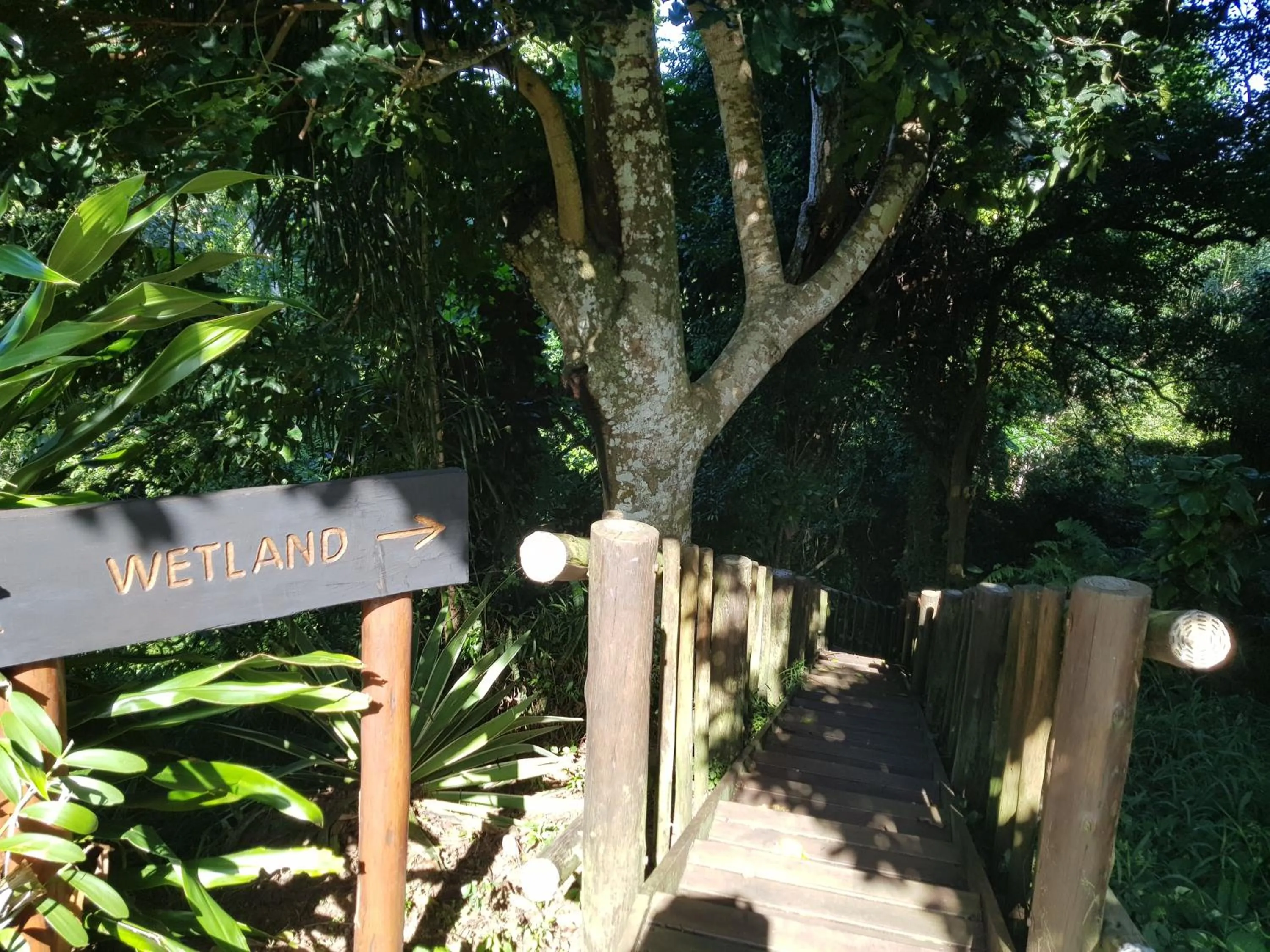 Garden in Ndiza Lodge and Cabanas