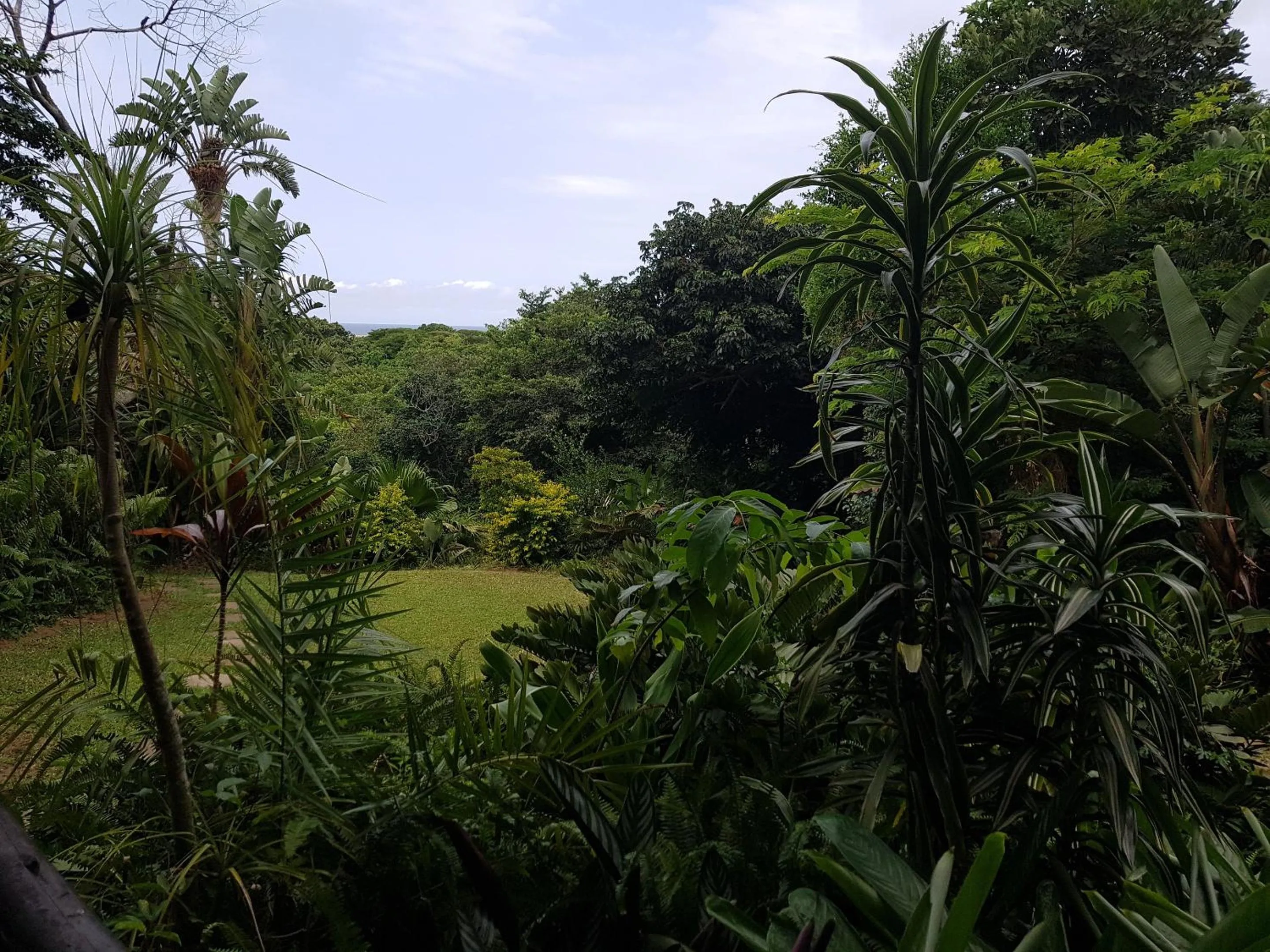 Garden in Ndiza Lodge and Cabanas