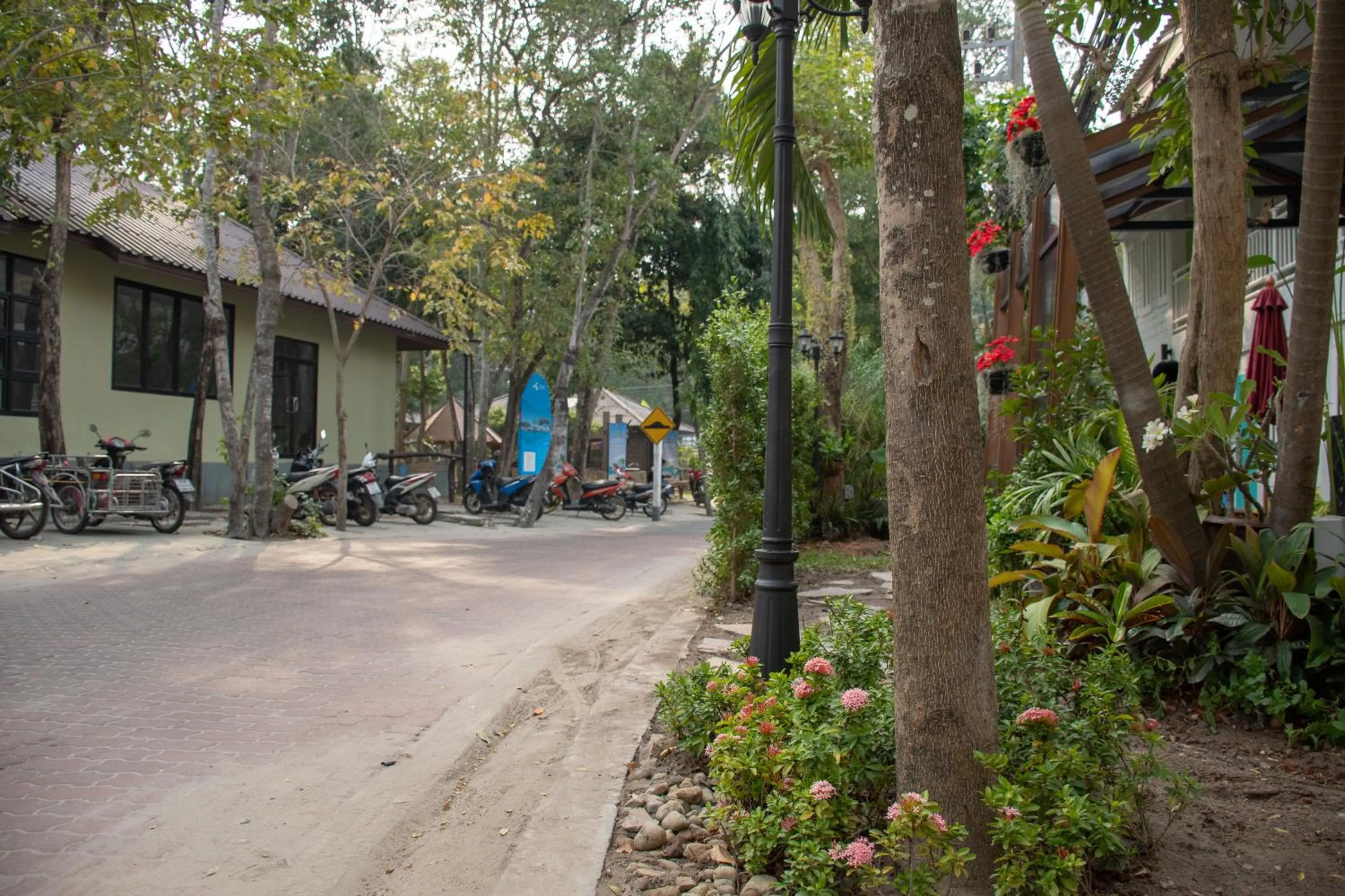 Neighbourhood in Lazy Sandals