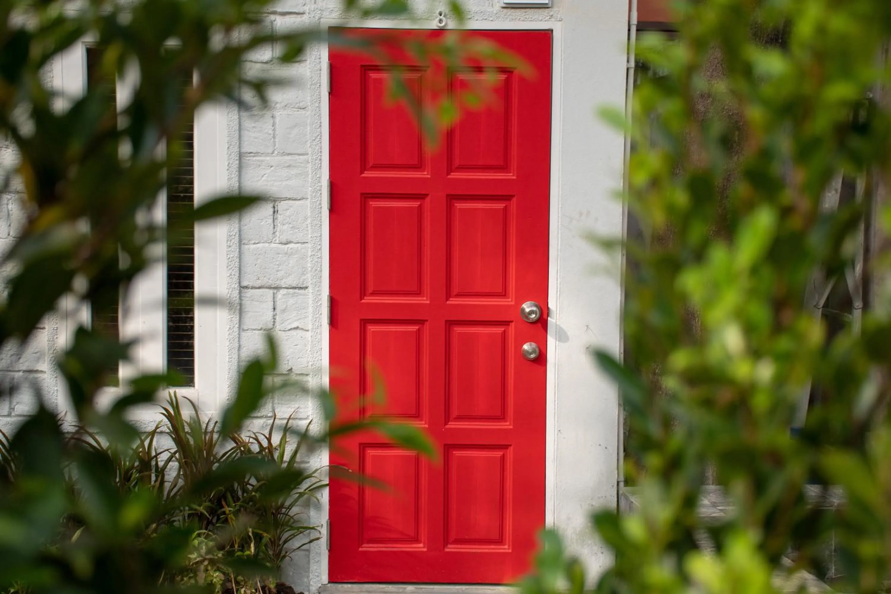 Garden in Lazy Sandals
