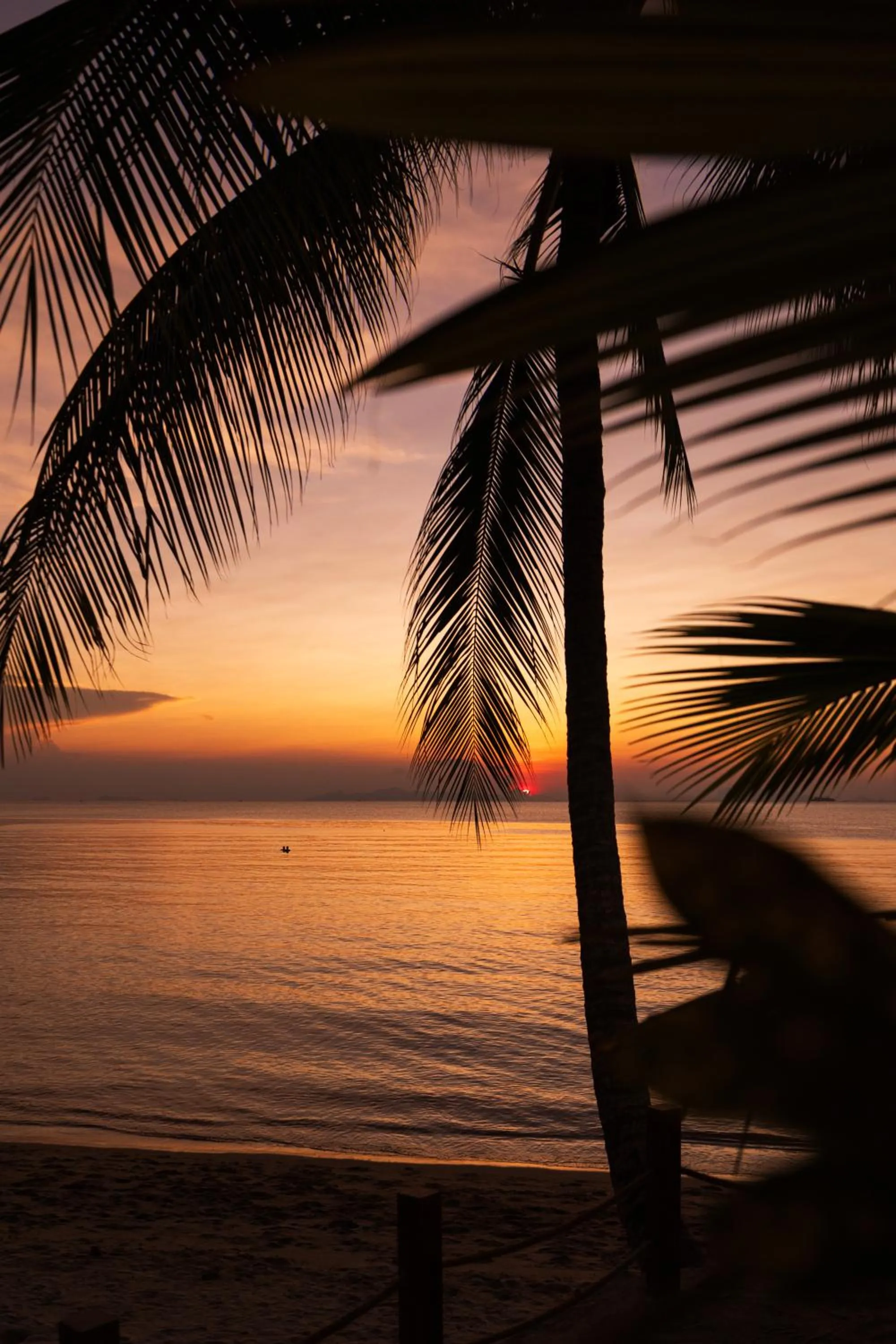 Sunset in Nikki Beach Resort & Spa Koh Samui