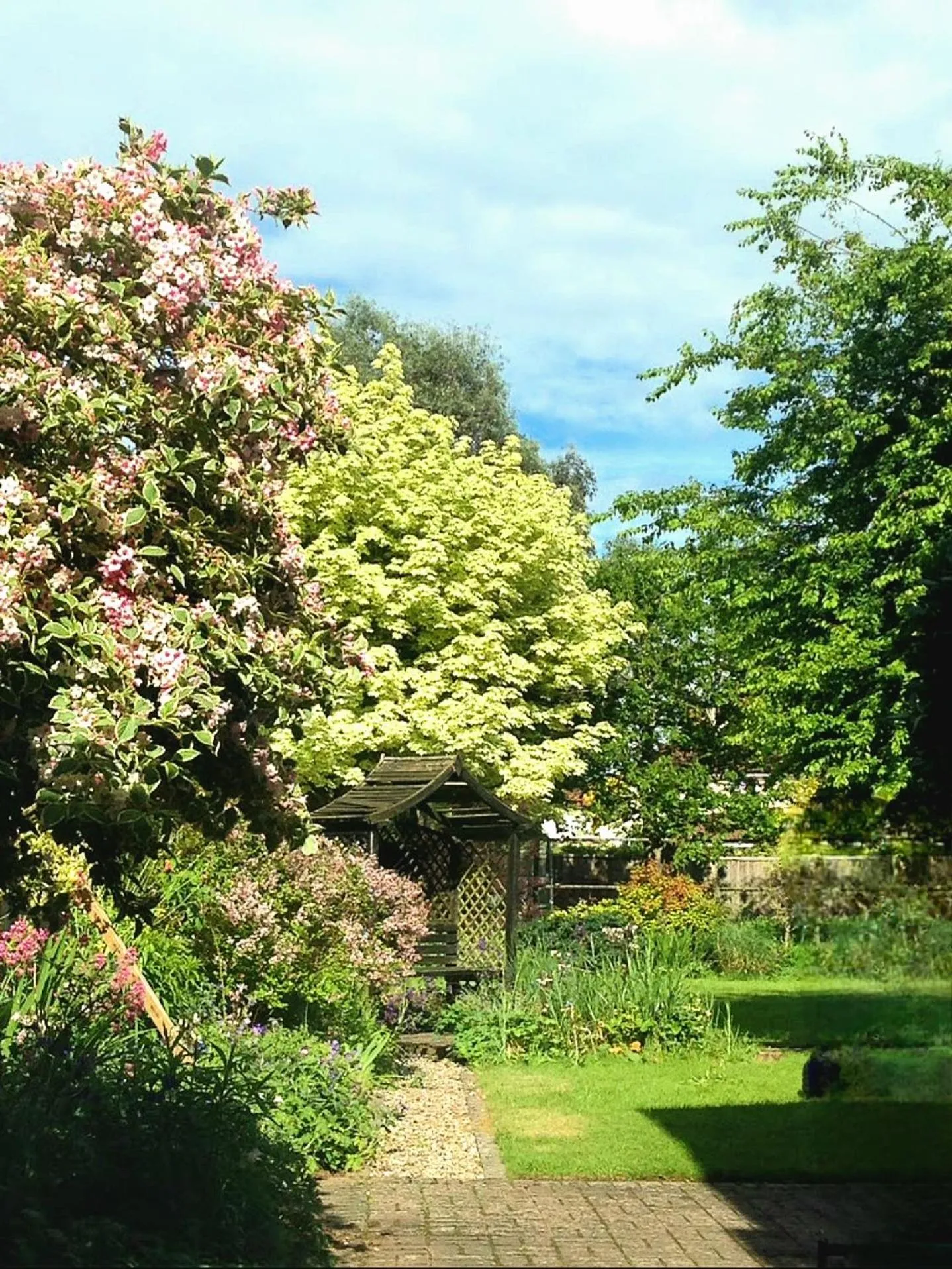 Garden view in Hollybush Guest House