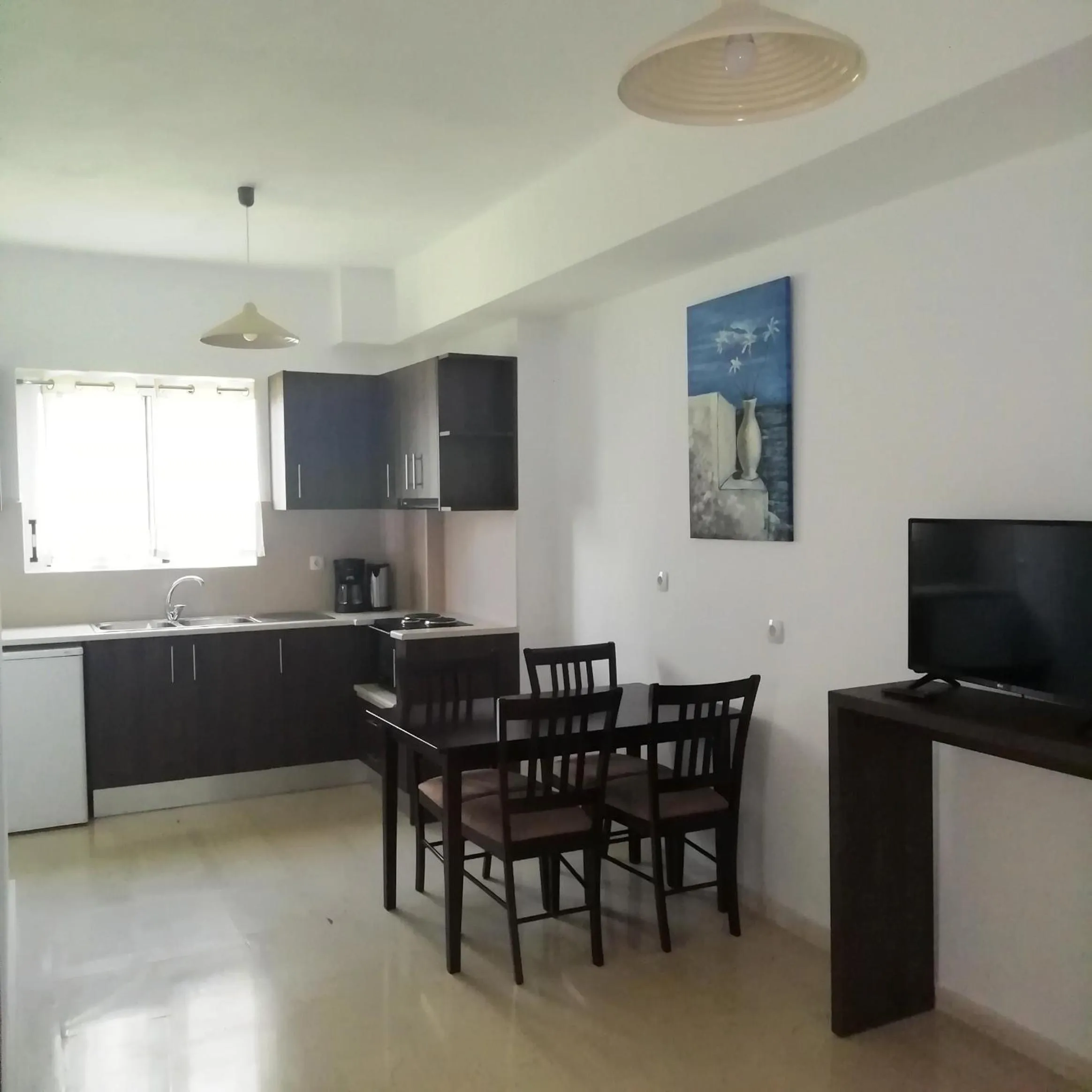 Kitchen or kitchenette in Hotel Thisvi