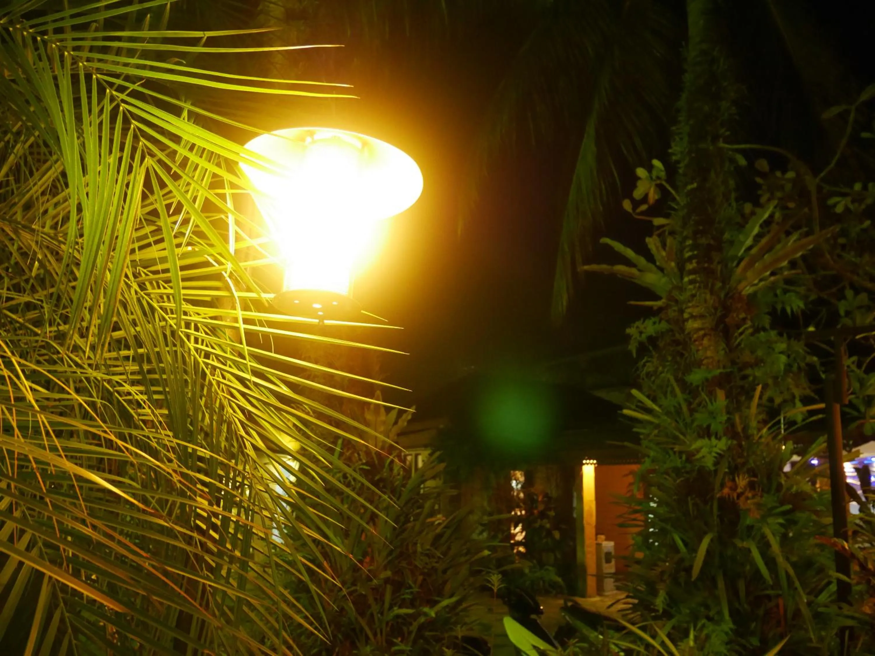 Night in Bangtao Beach Chalet Resort