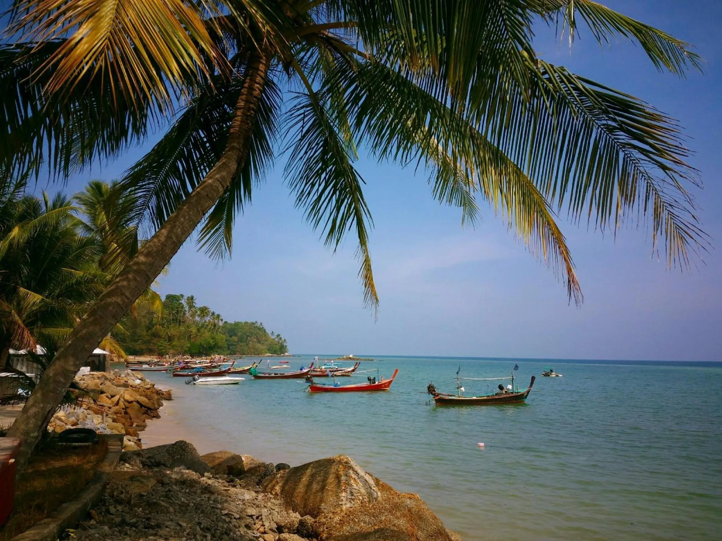 Natural landscape in Bangtao Beach Chalet Resort