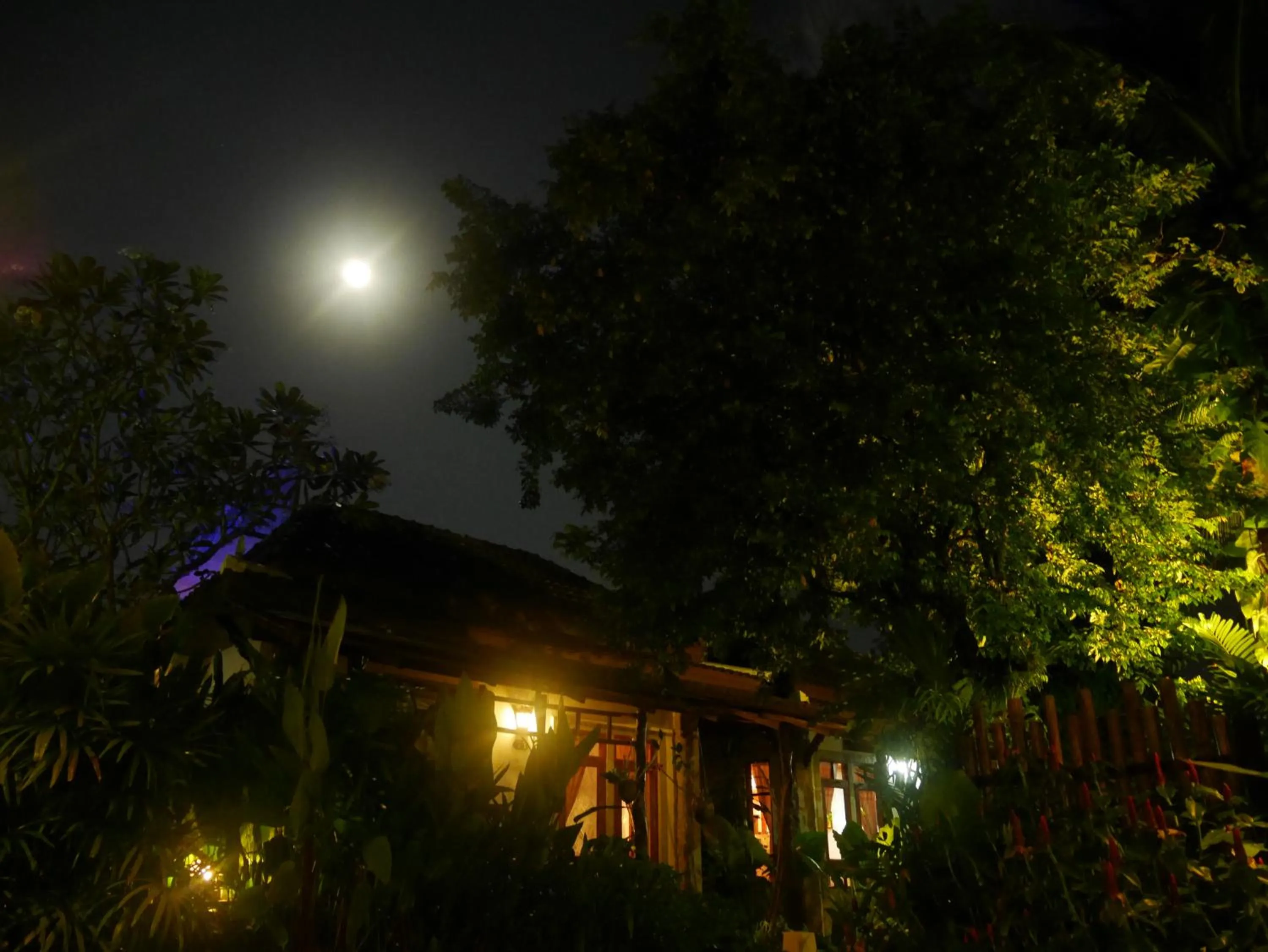 Property building in Bangtao Beach Chalet Resort