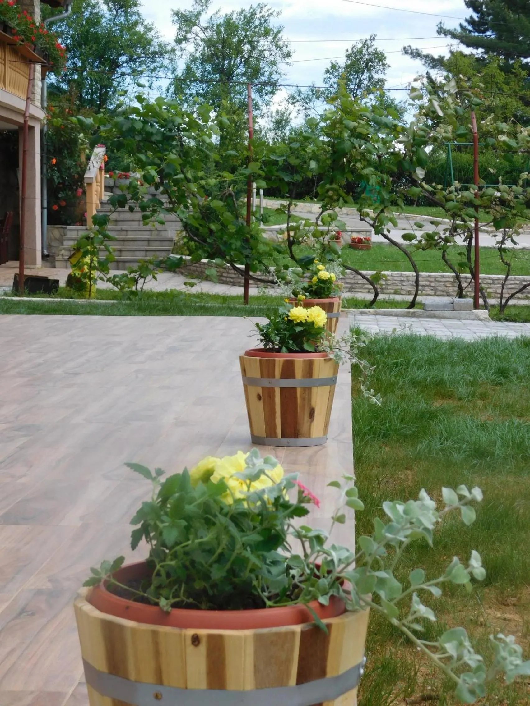 Garden in Guesthouse Sara