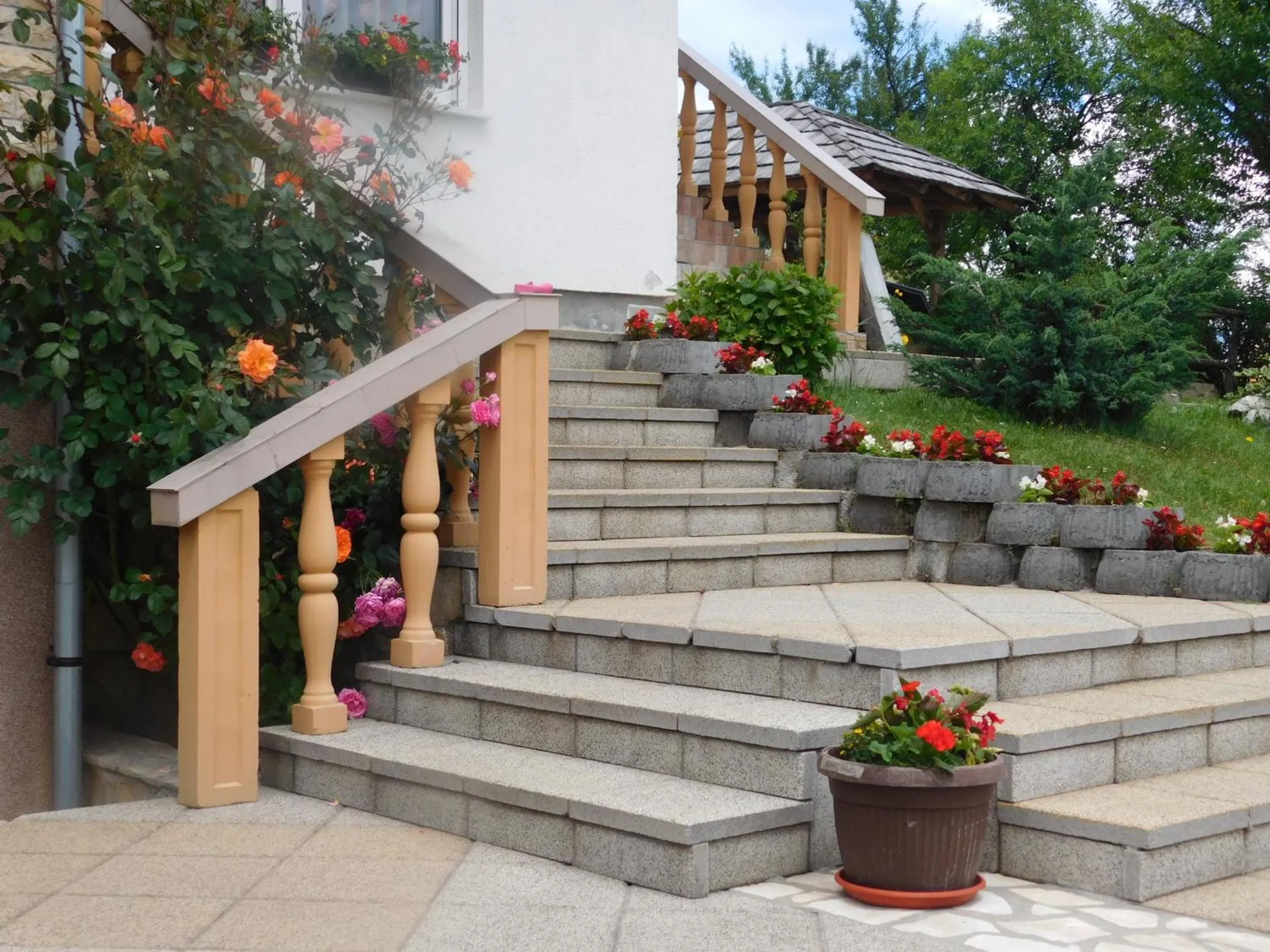 Garden in Guesthouse Sara