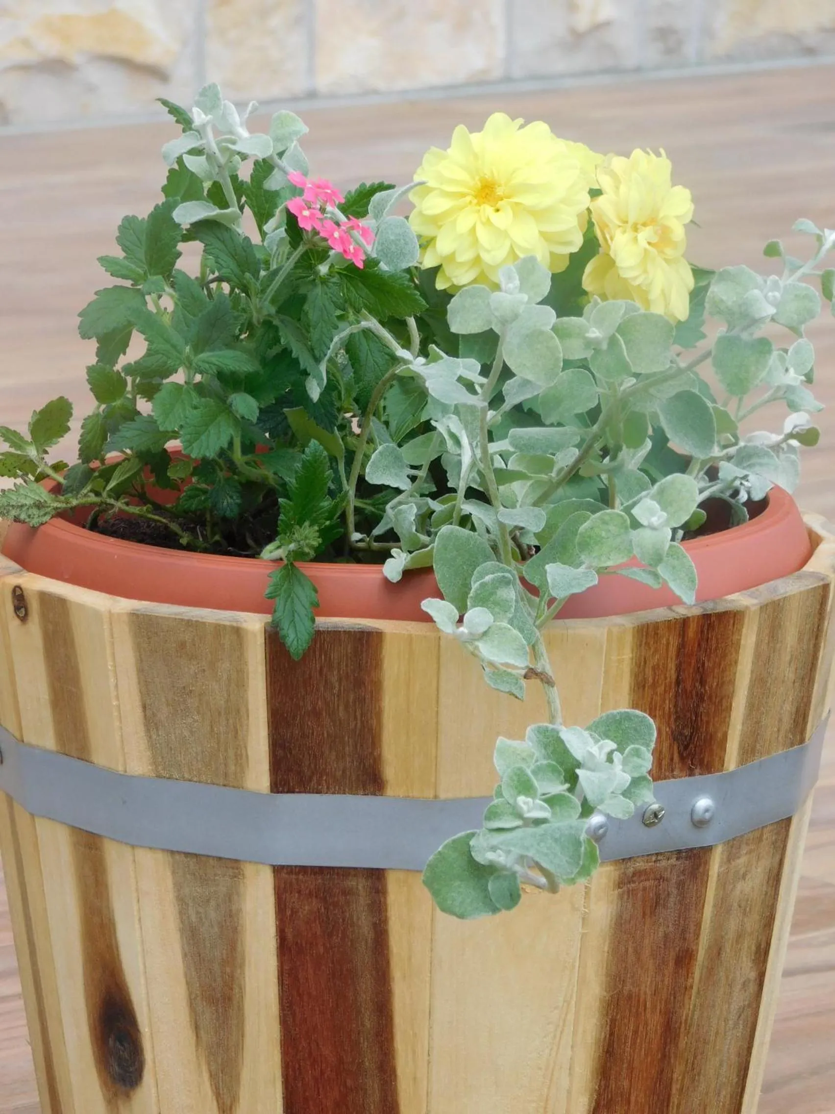 Garden in Guesthouse Sara