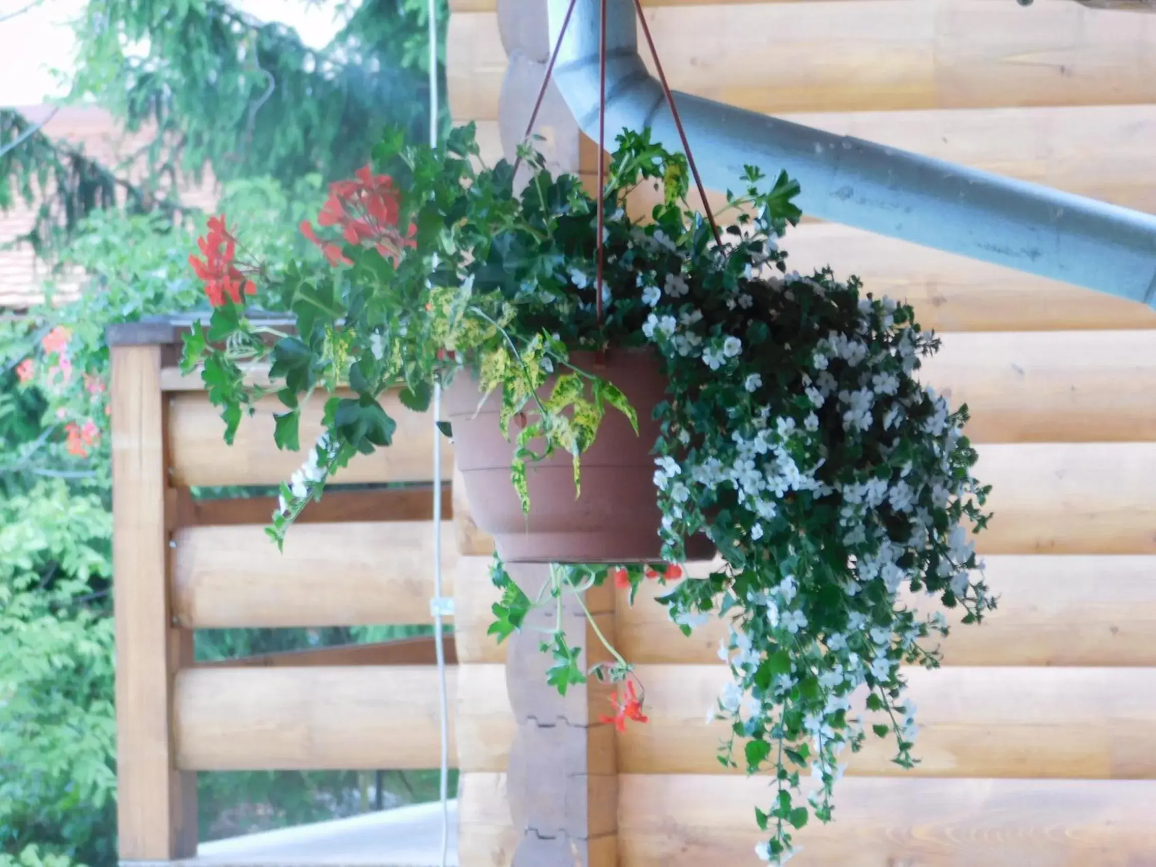 Twin Room in Guesthouse Sara Twin Room in Guesthouse Sara