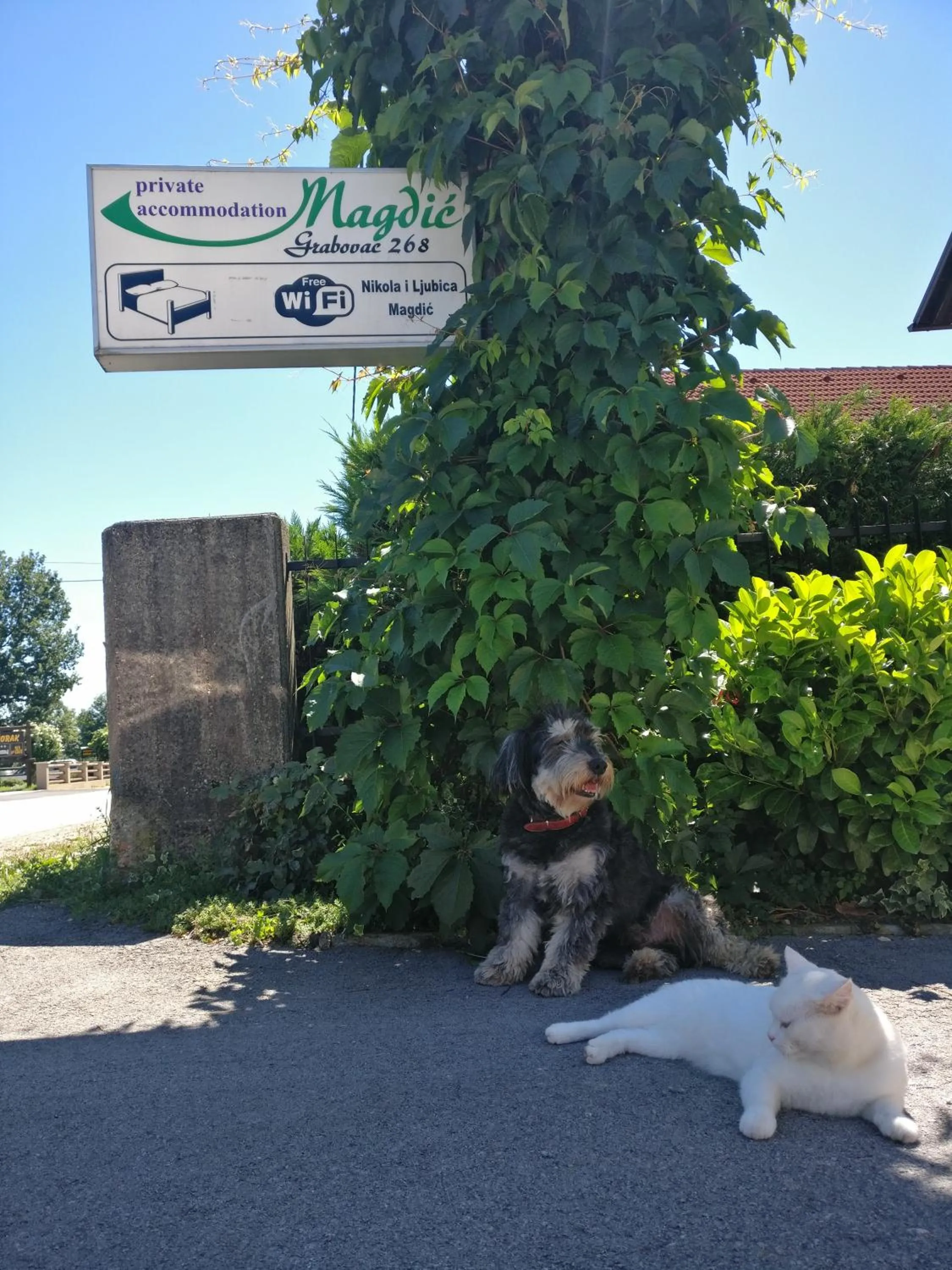 Day in House Magdic Plitvice