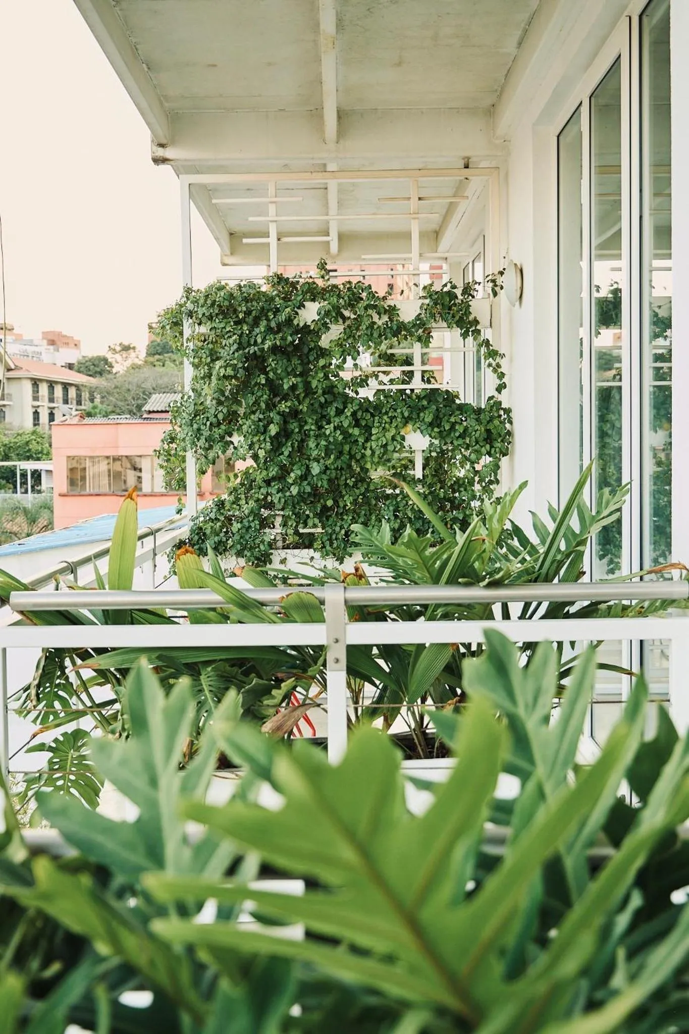 Garden in Now Hotel Cali