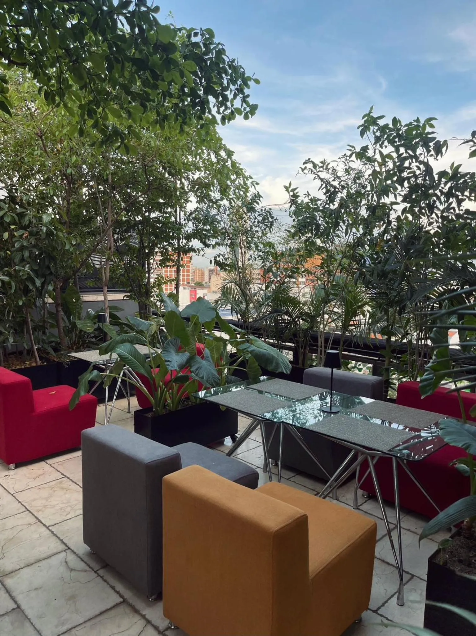 Garden in Now Hotel Cali