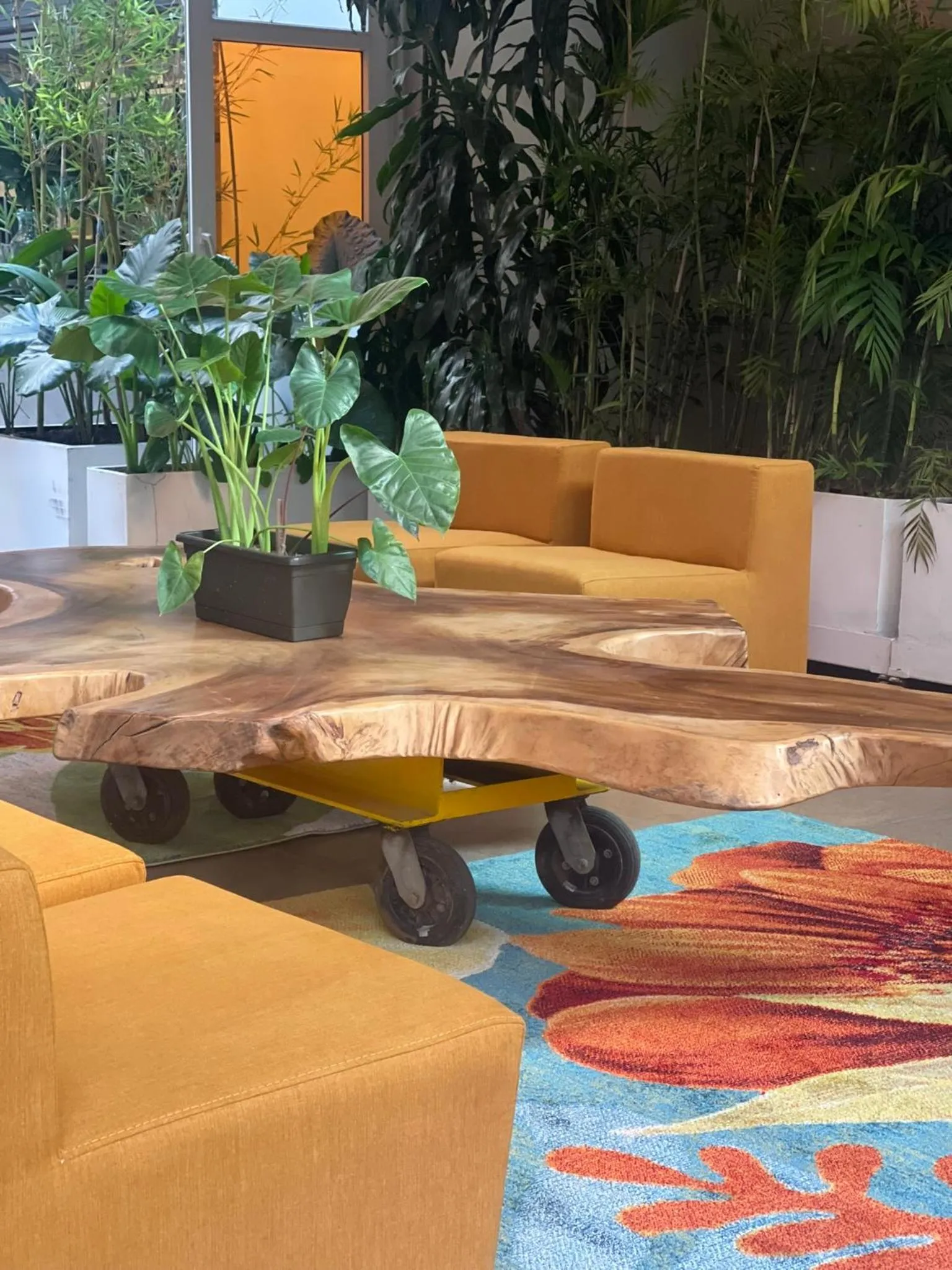 Area and facilities in Now Hotel Cali