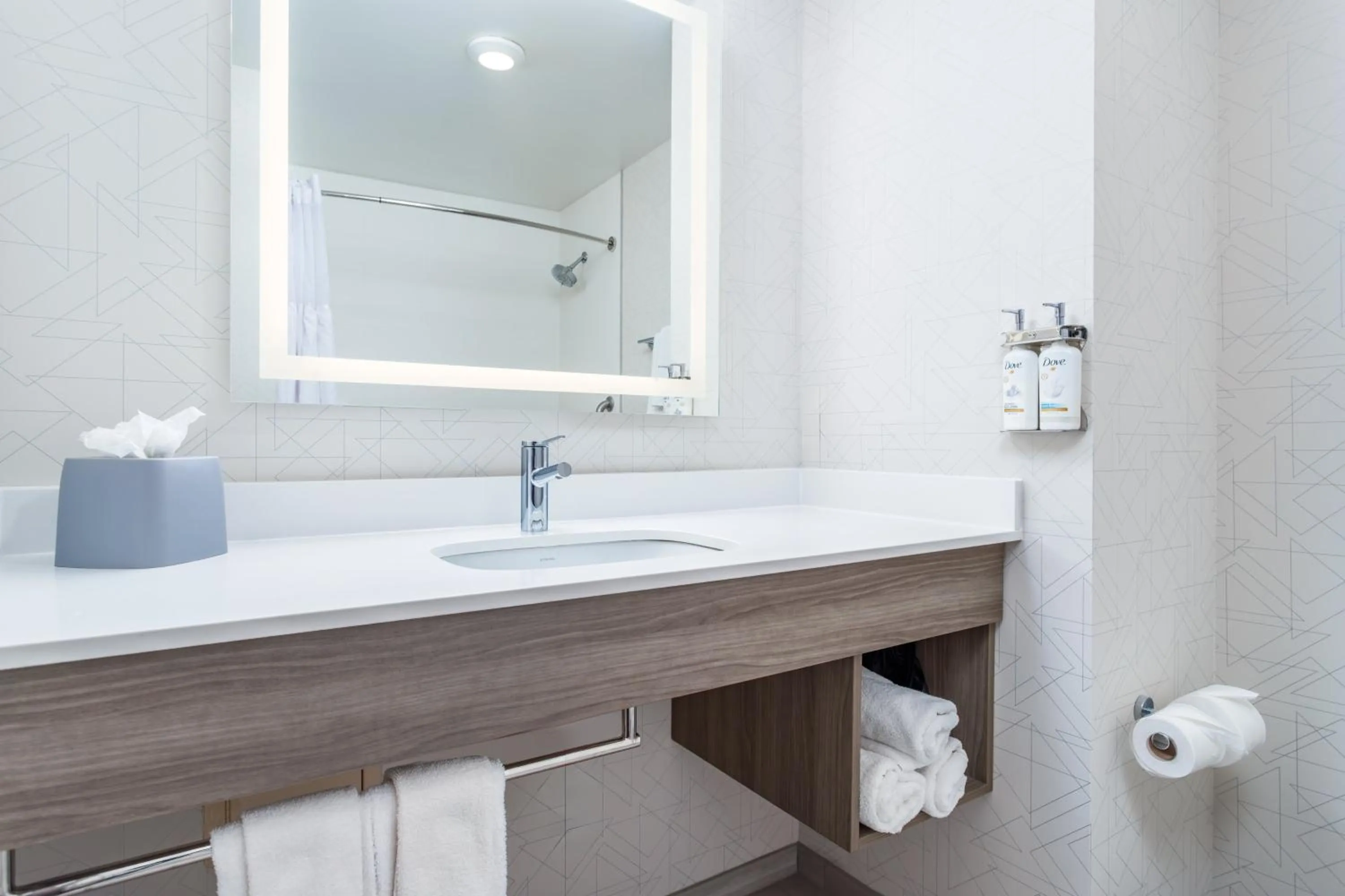 Bathroom in Holiday Inn Express Hotel Twin Falls by IHG