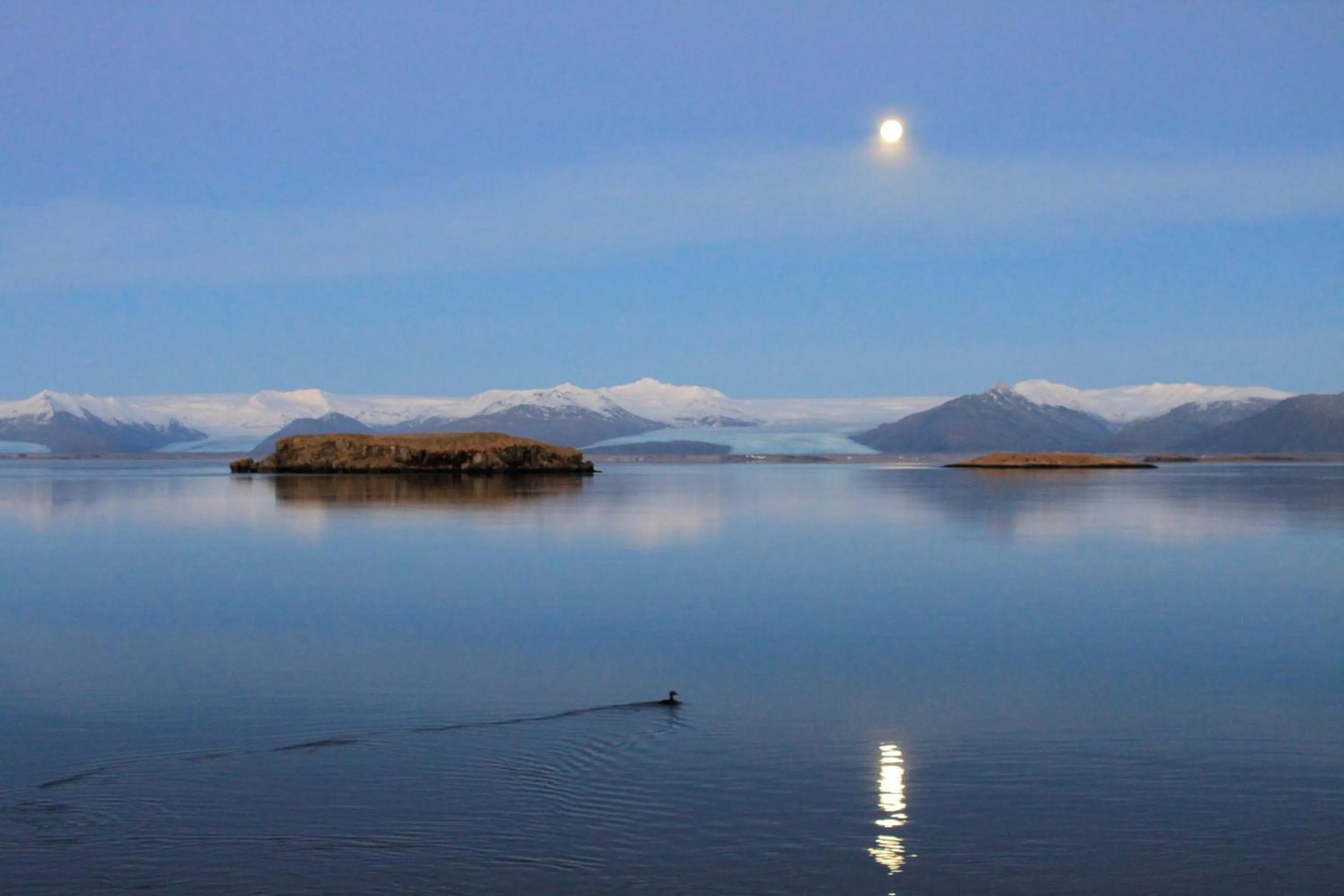Area and facilities in Höfn Inn Guesthouse