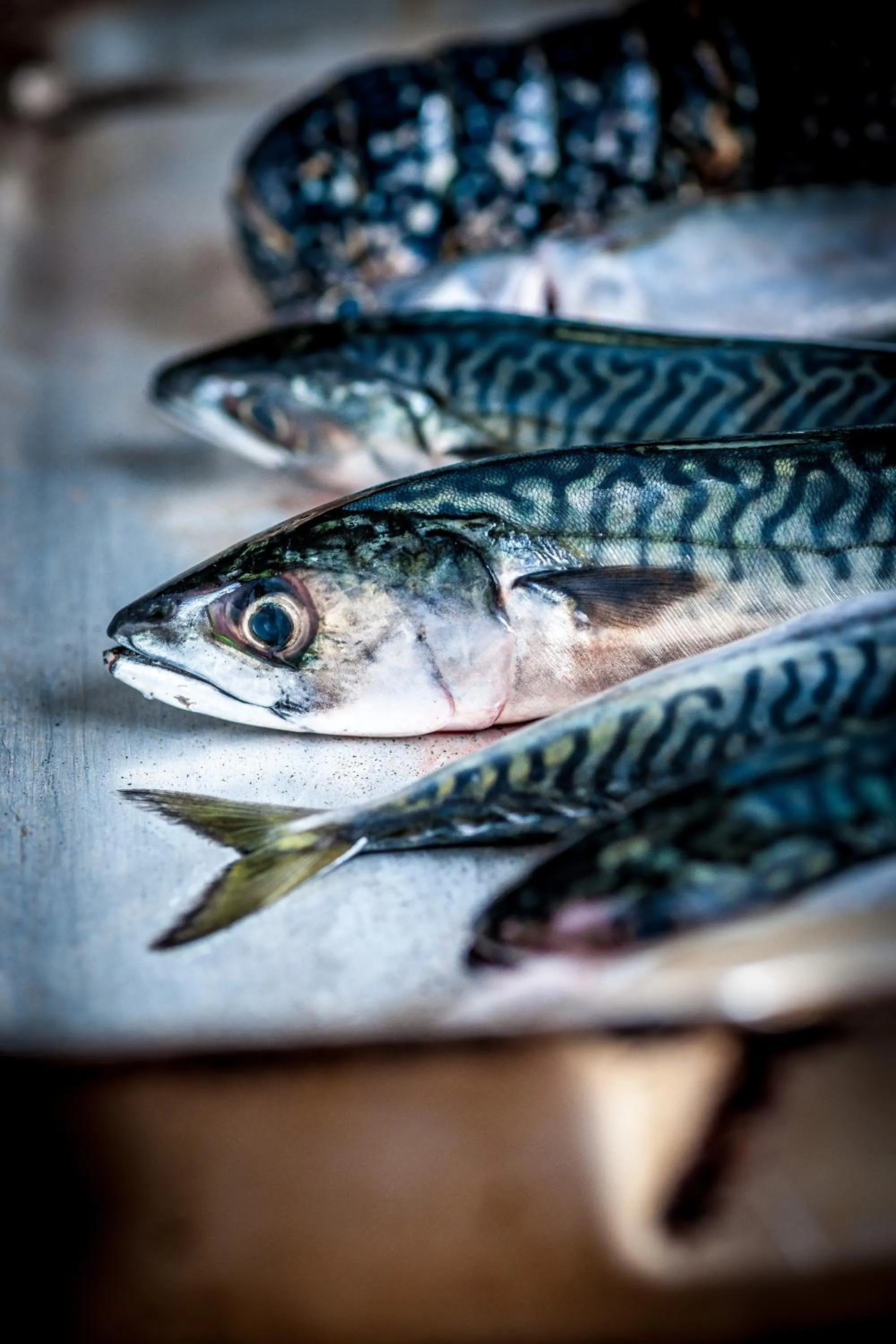 Food in Port Gaverne Hotel