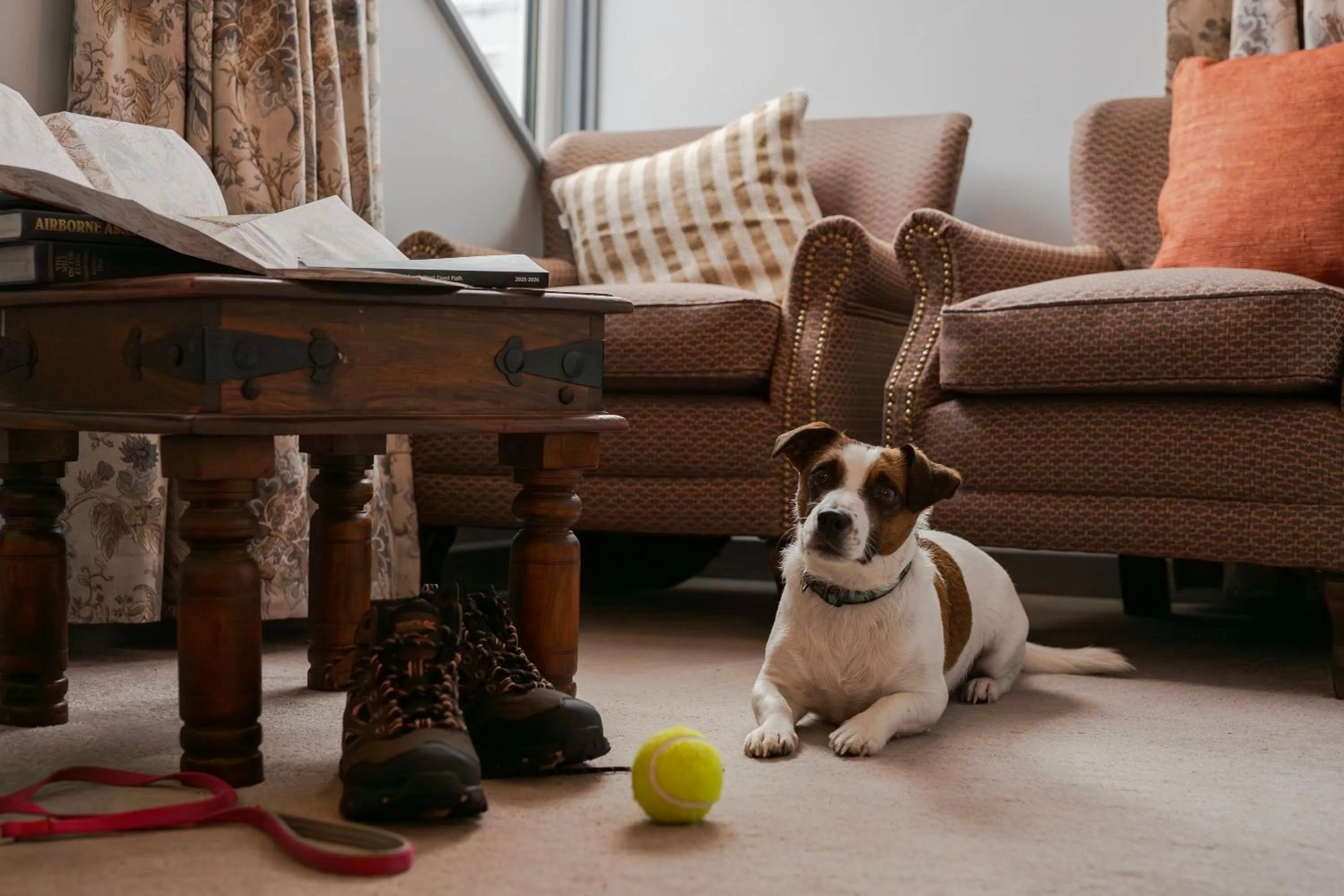 Pets in Port Gaverne Hotel