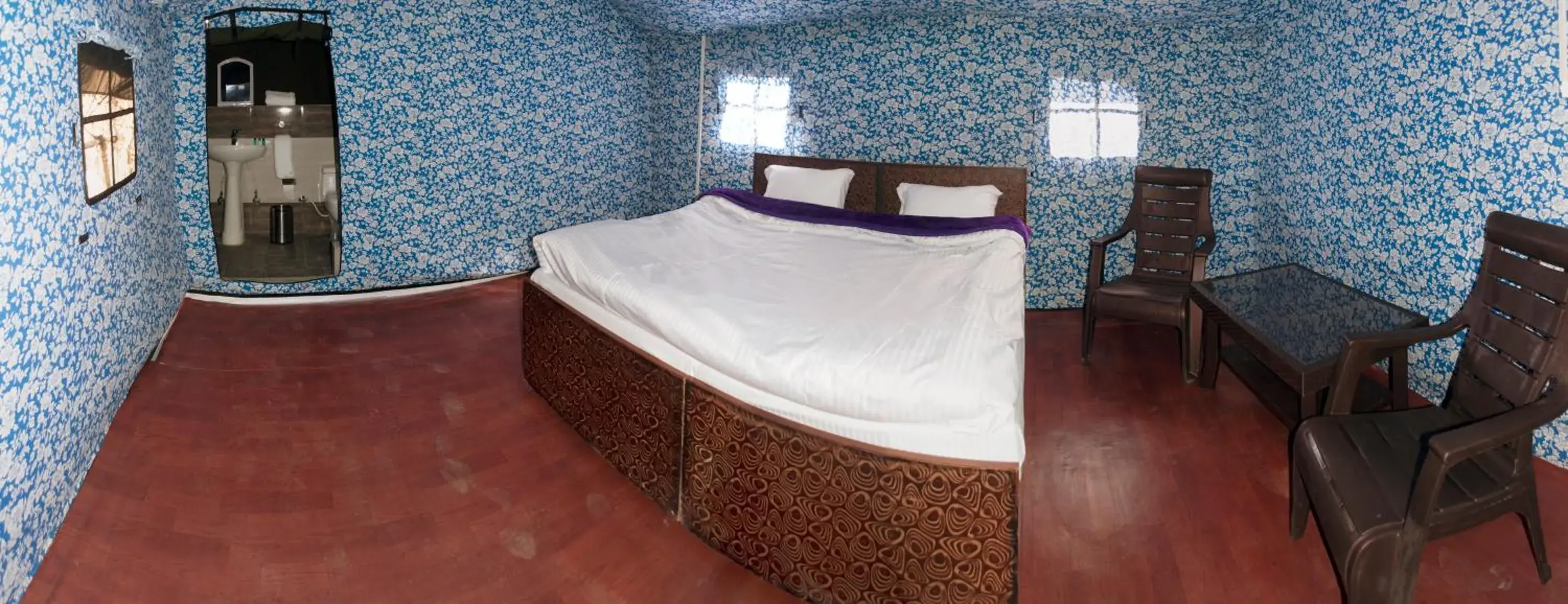 Tent in Jungle Stays Tent in Jungle Stays