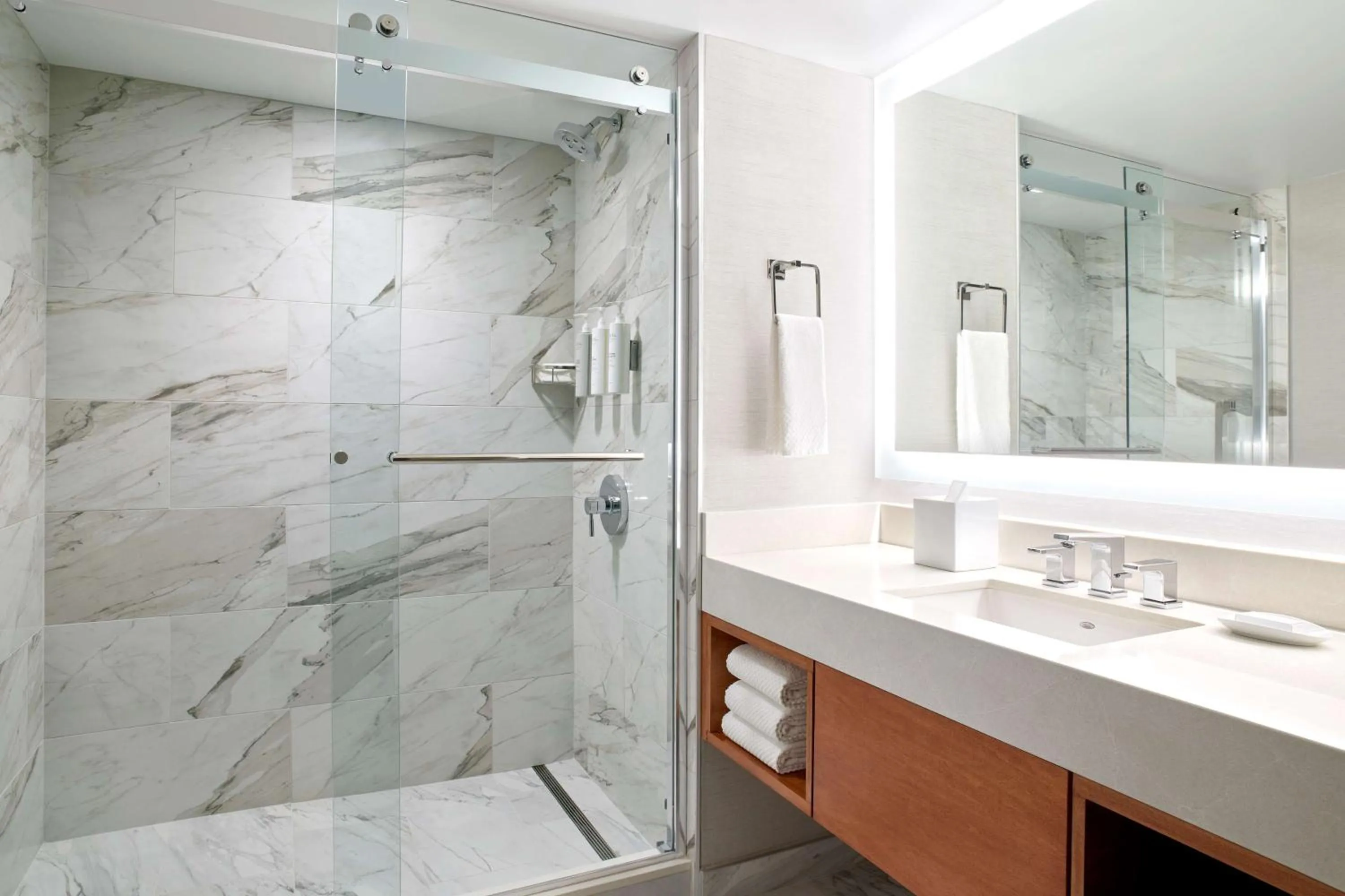 Shower in Embassy Suites by Hilton Washington DC Convention Center