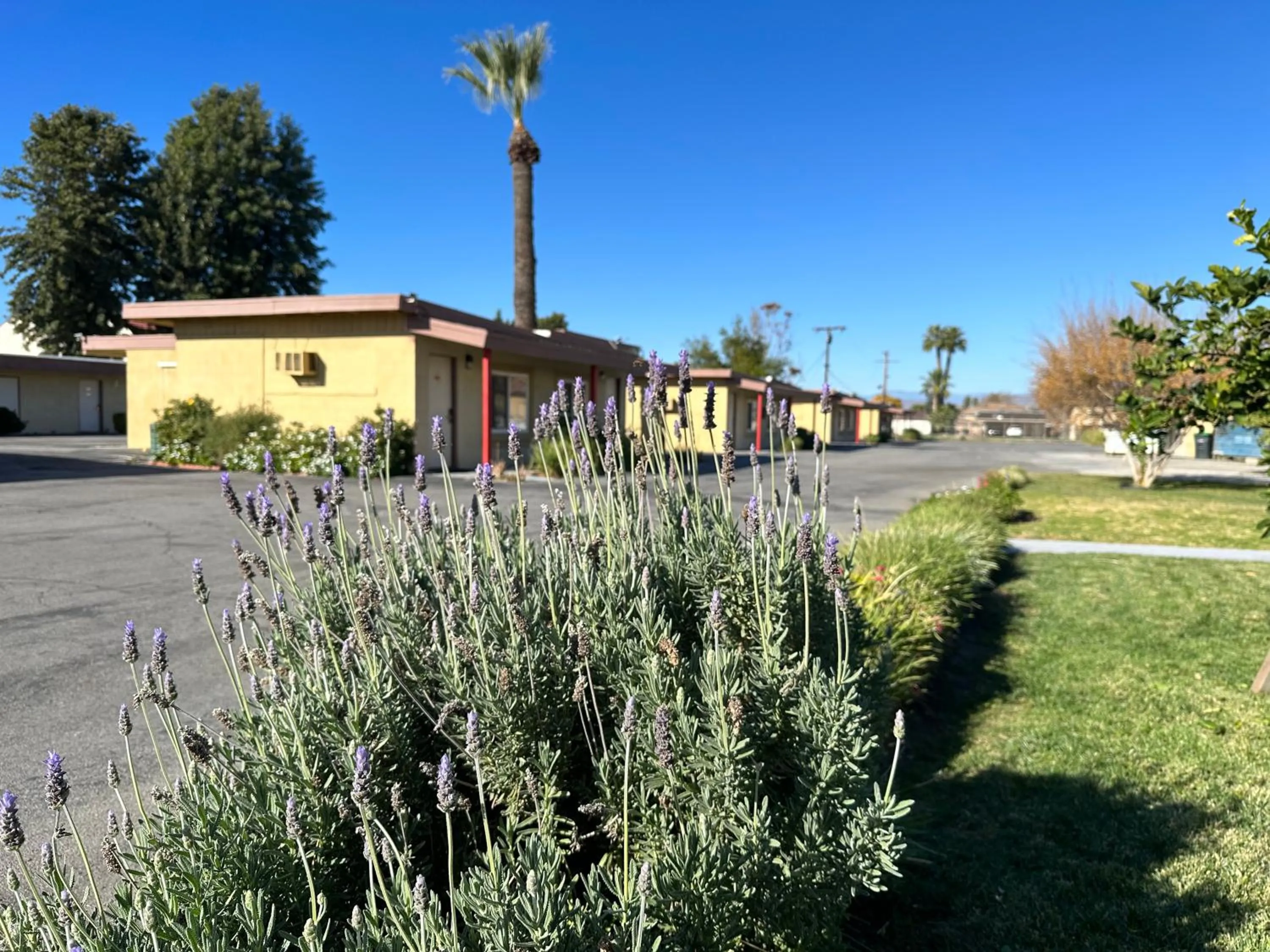 Natural landscape in Royal Inn and Suites