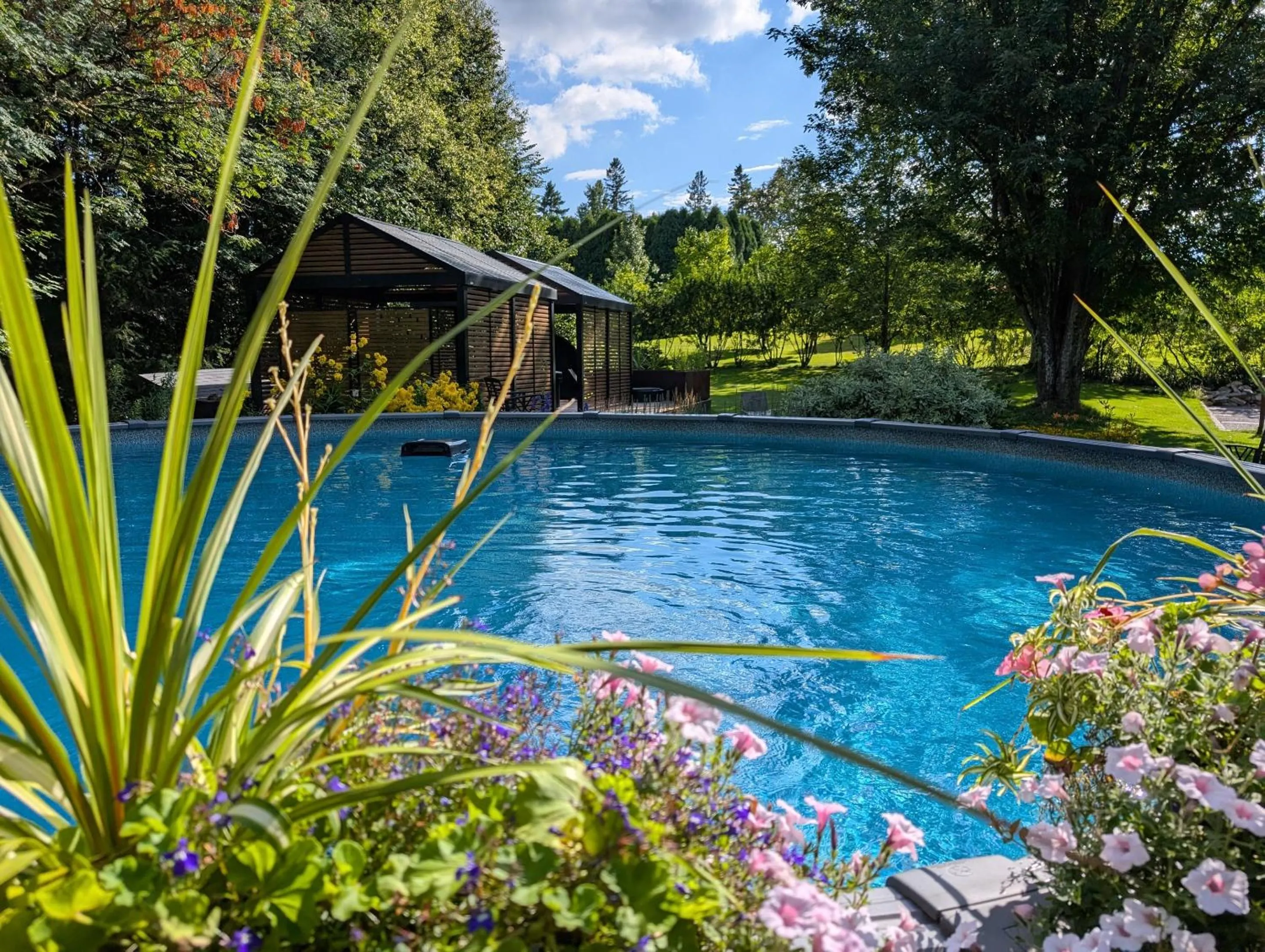 Pool view in Chateau Murdock Gite