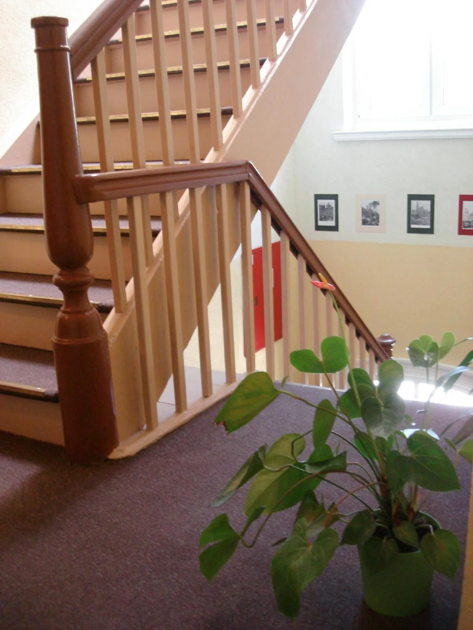 Green Hostel Wrocław przy ZOO