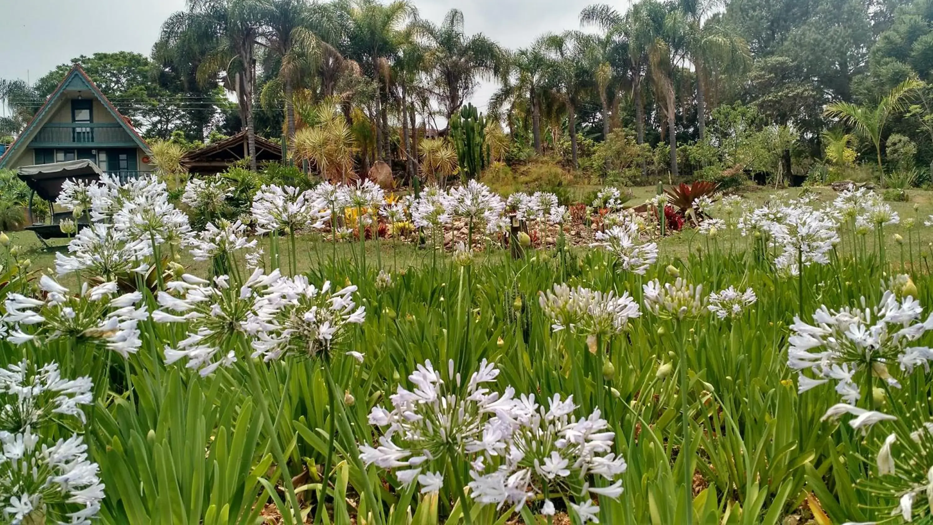 Chalet in Capricho Asturiano Chalet in Capricho Asturiano