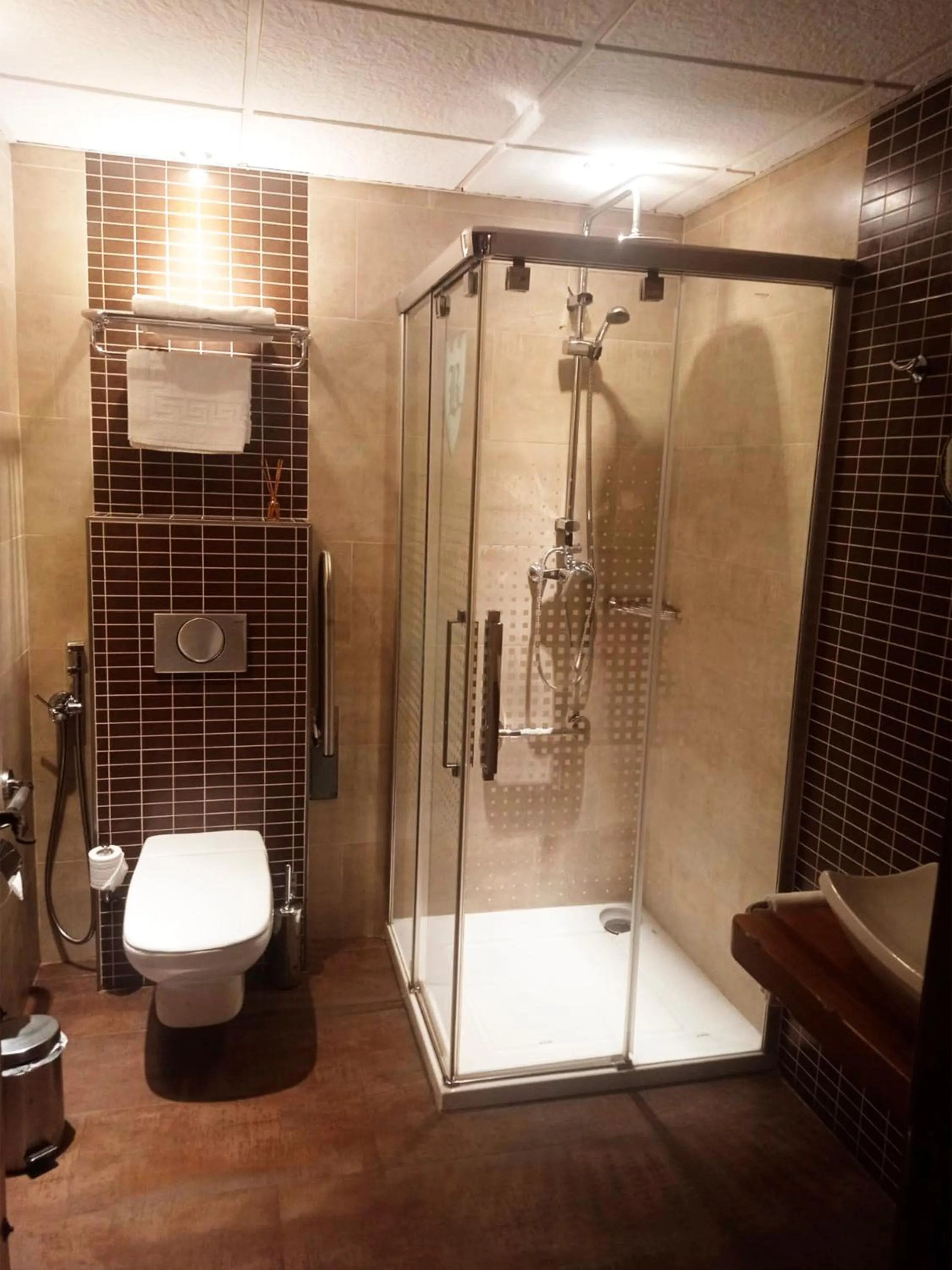 Shower, Bathroom in Hotel La Brasa