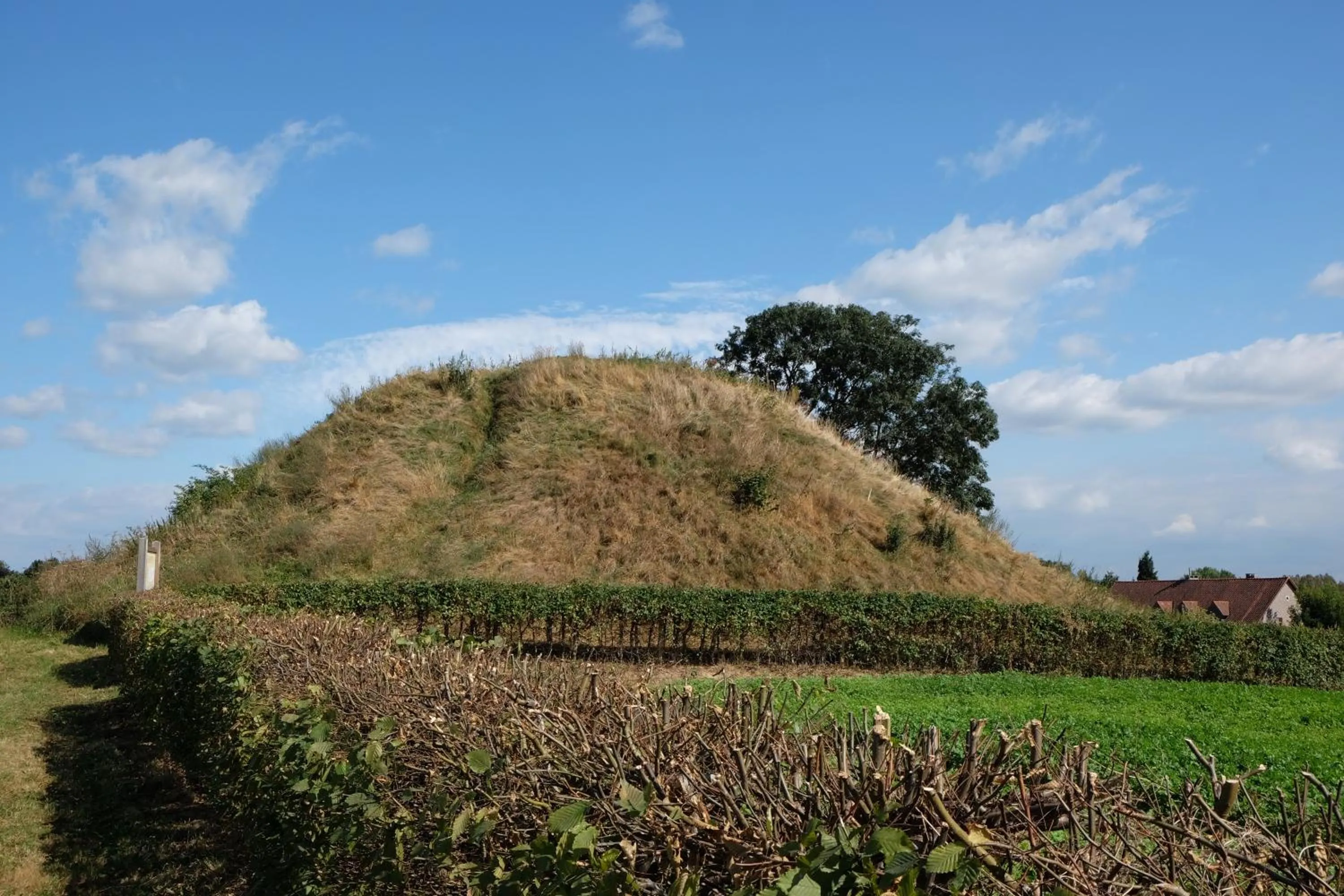 Natural landscape in Liry's Home