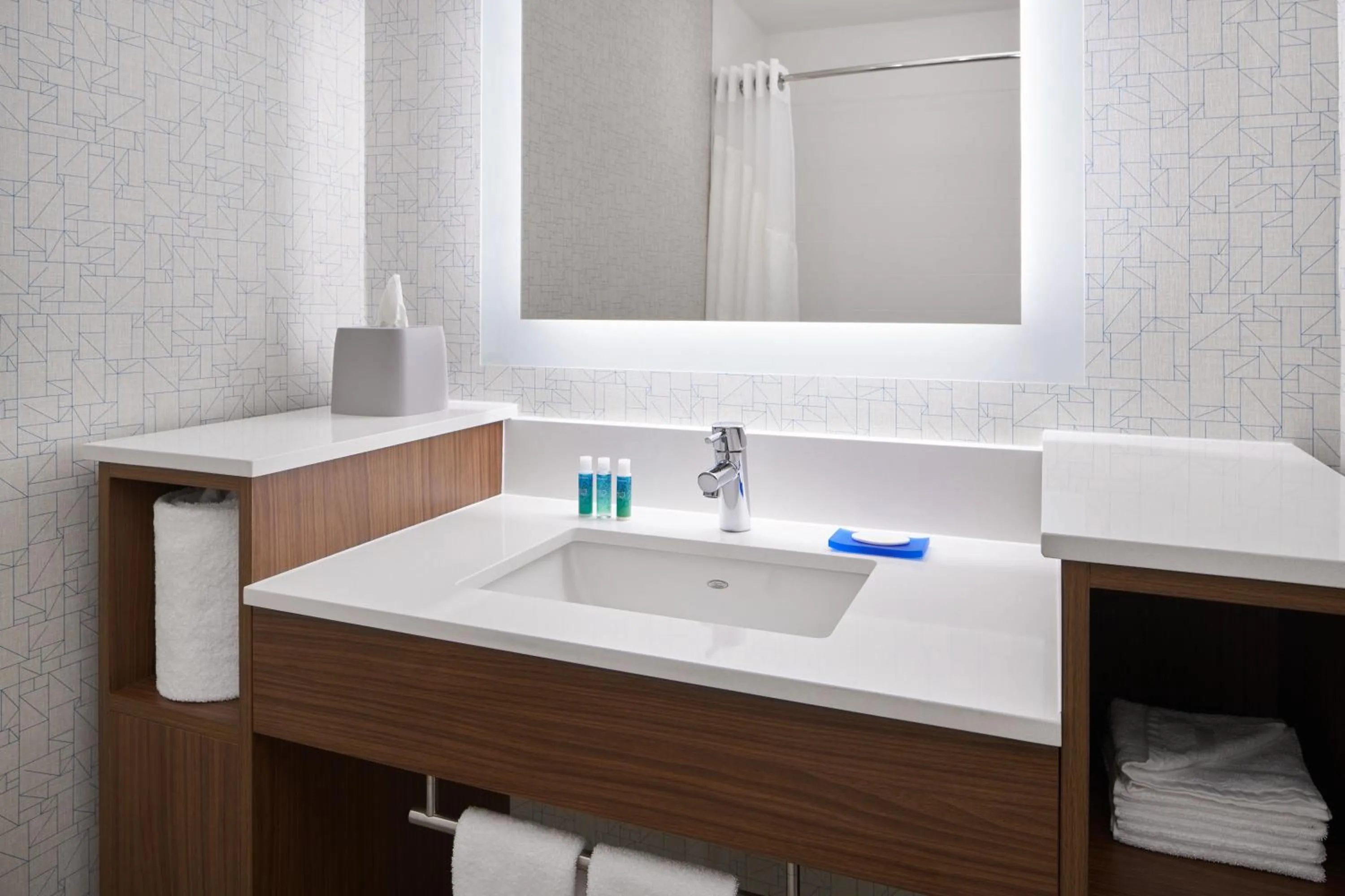 Bathroom in Holiday Inn Express - Richmond Downtown by IHG