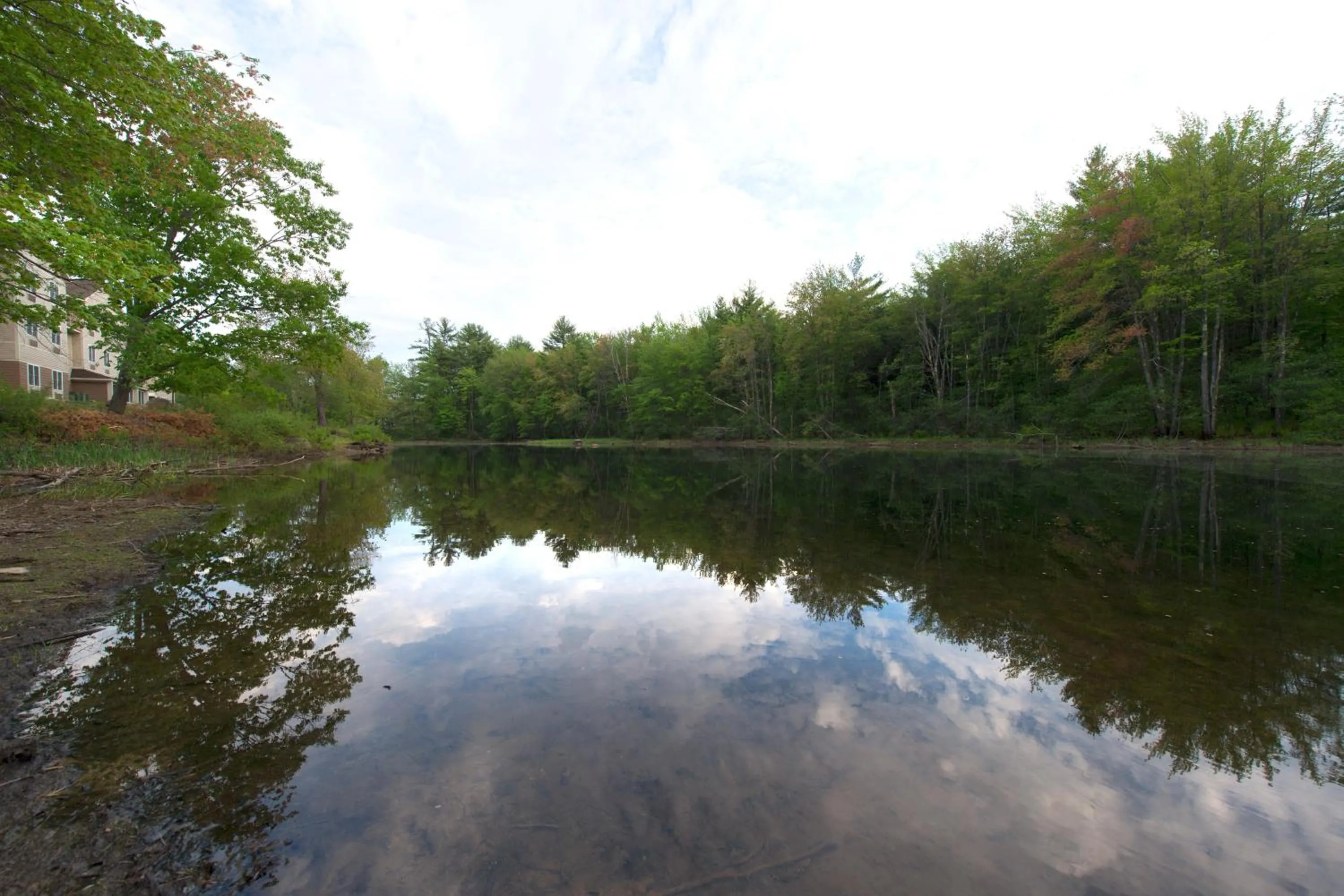 Other in Holiday Inn Express & Suites Tilton by IHG