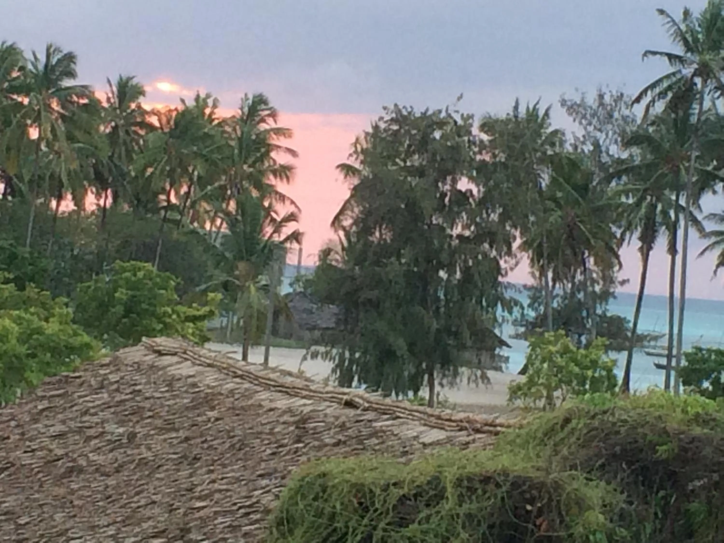 Sea view in Shamba Lodge