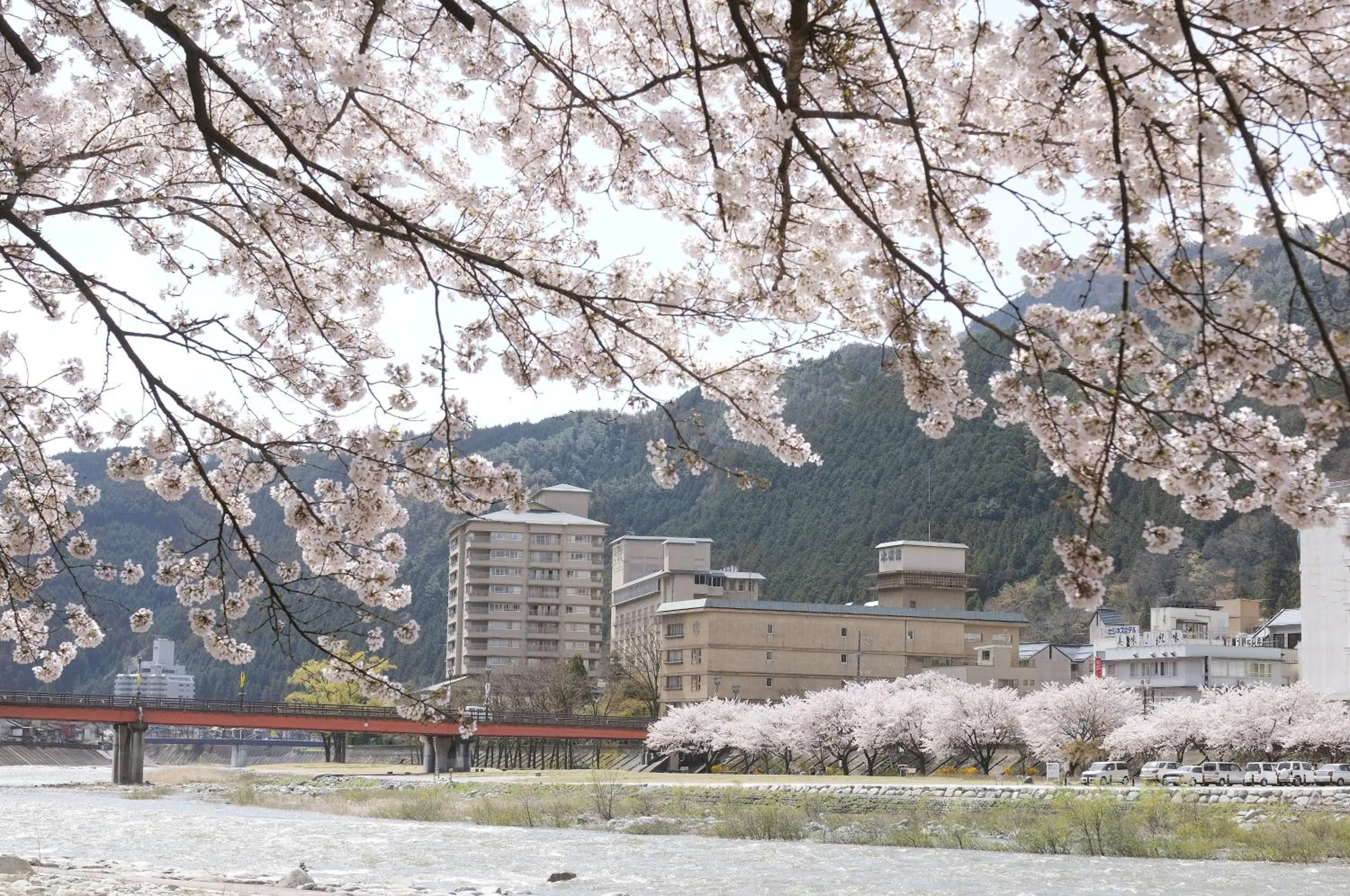 Property building in Suimeikan