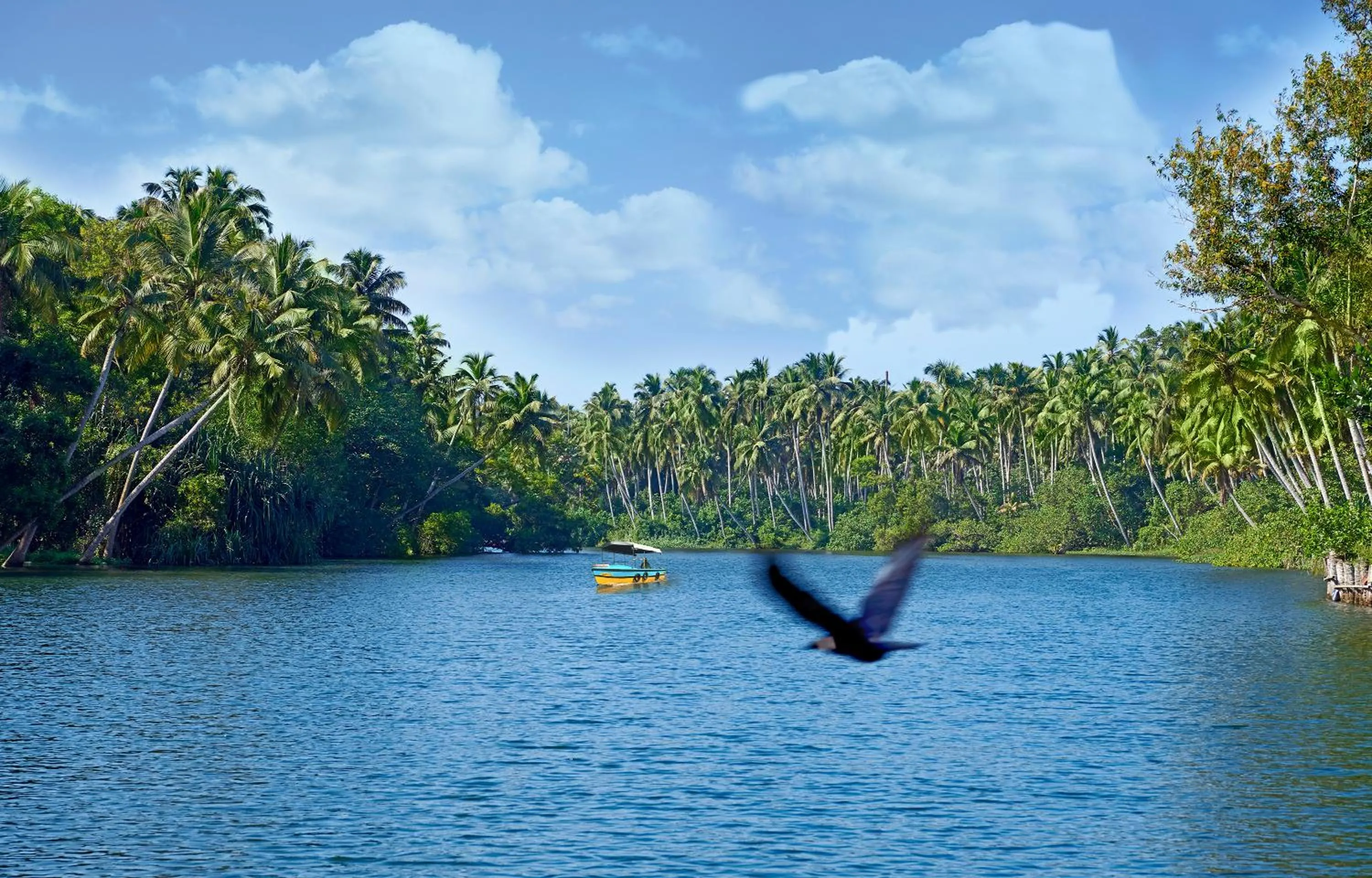 Natural landscape in Estuary Sarovar Premiere Poovar Island