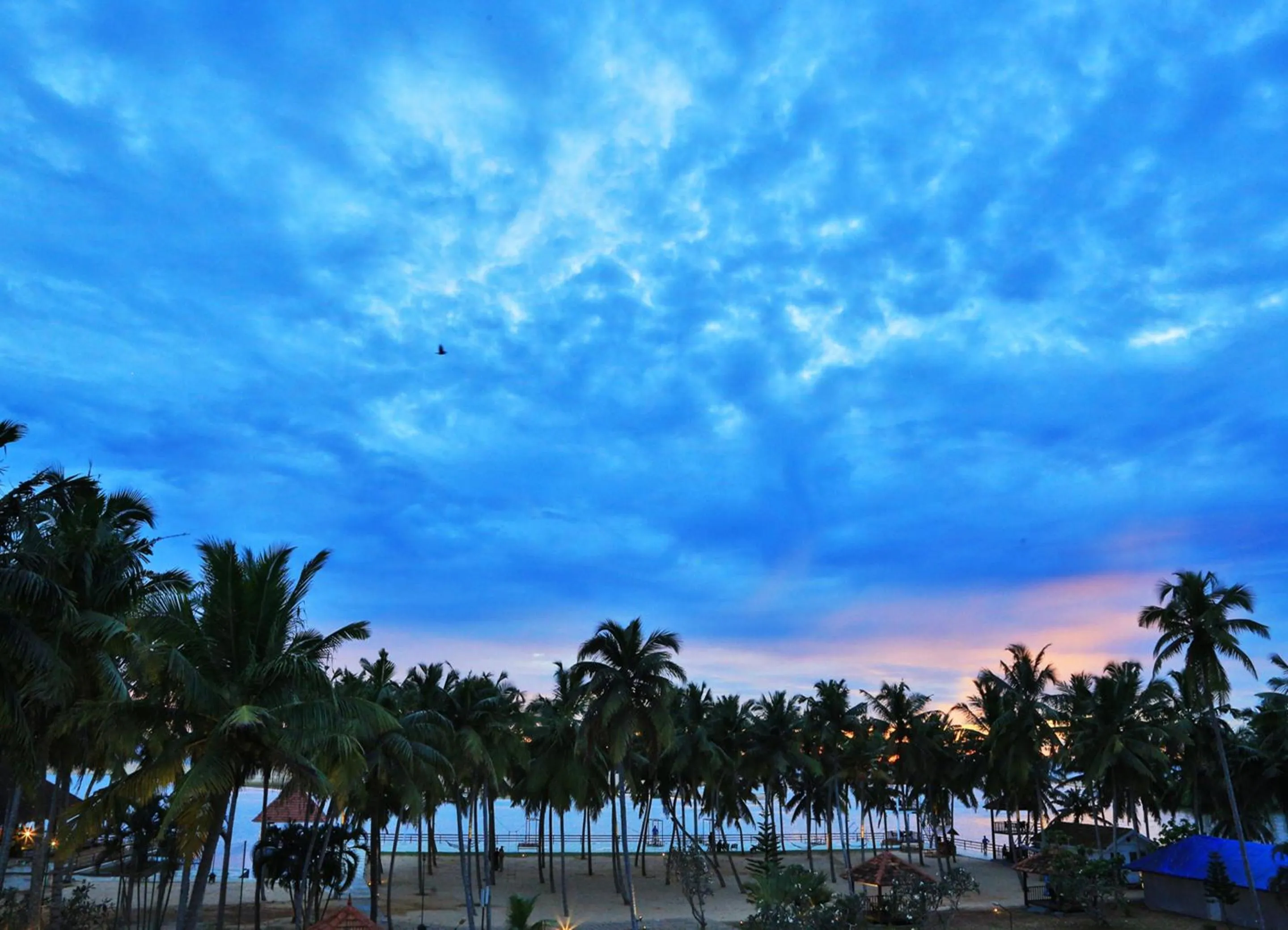 Natural landscape in Estuary Sarovar Premiere Poovar Island
