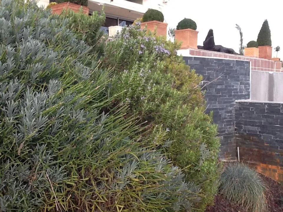 Property building in La Villa Blanche