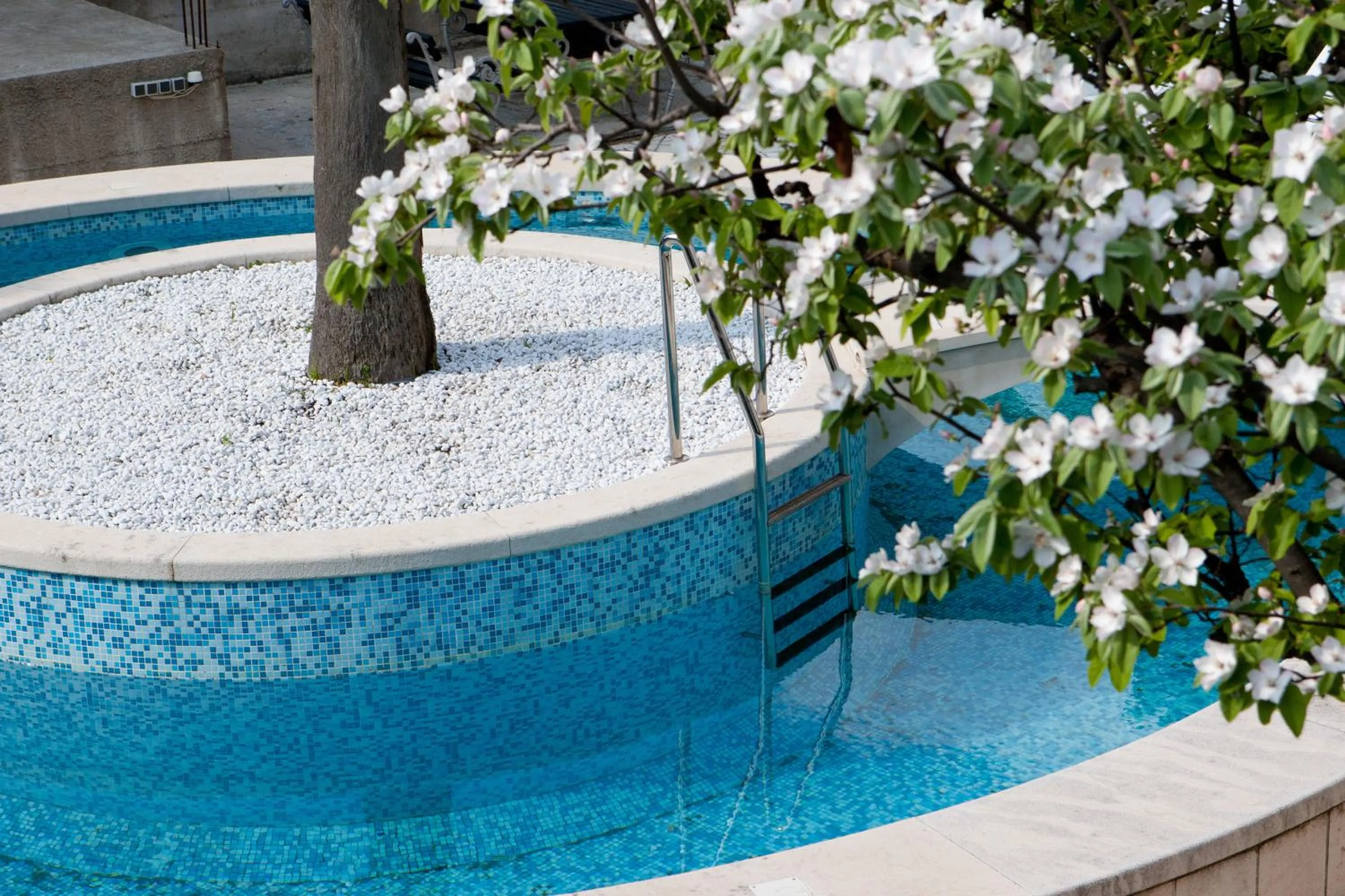 Swimming pool in Boutique Villa Filaus