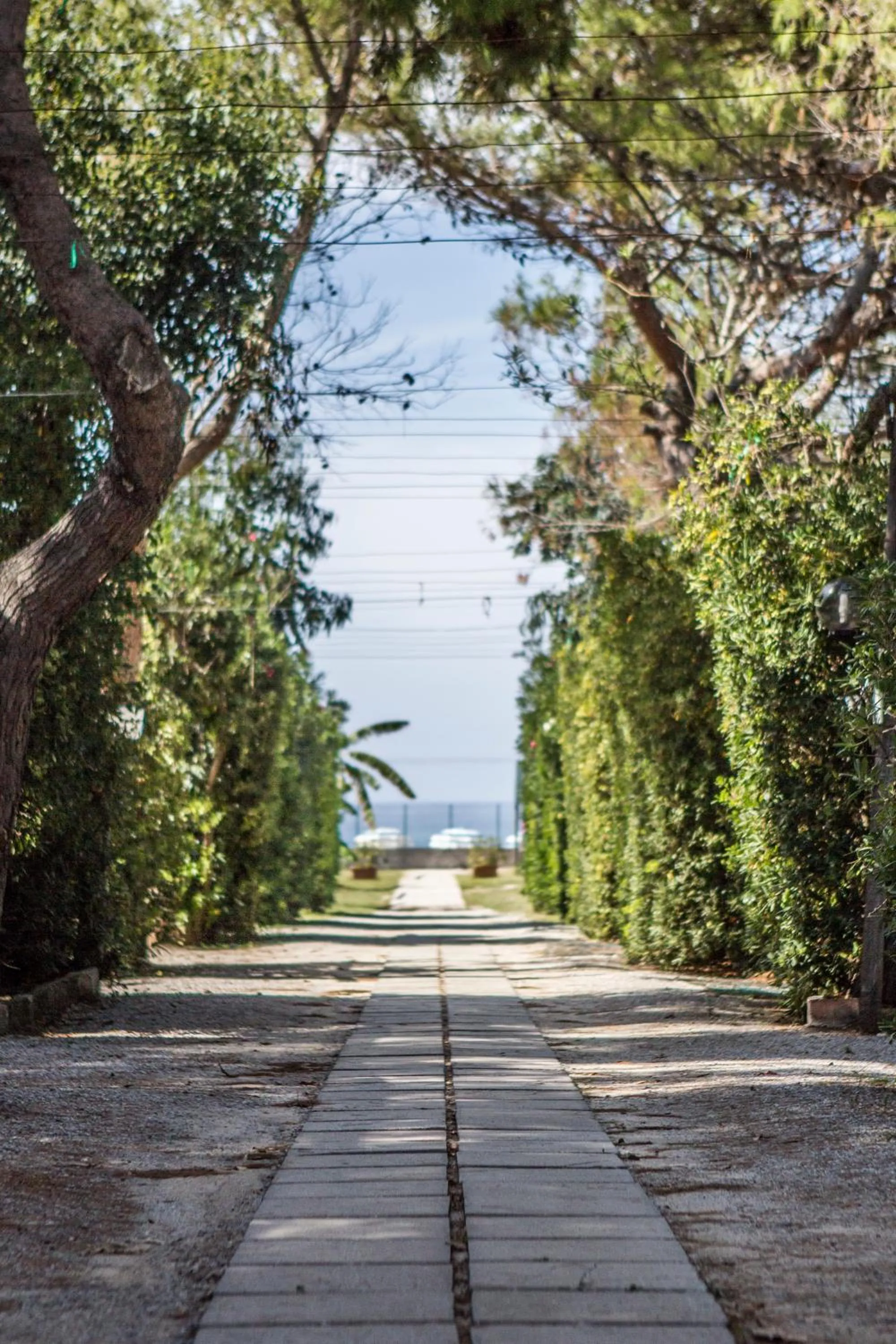 Area and facilities in Il Calabriano Residence