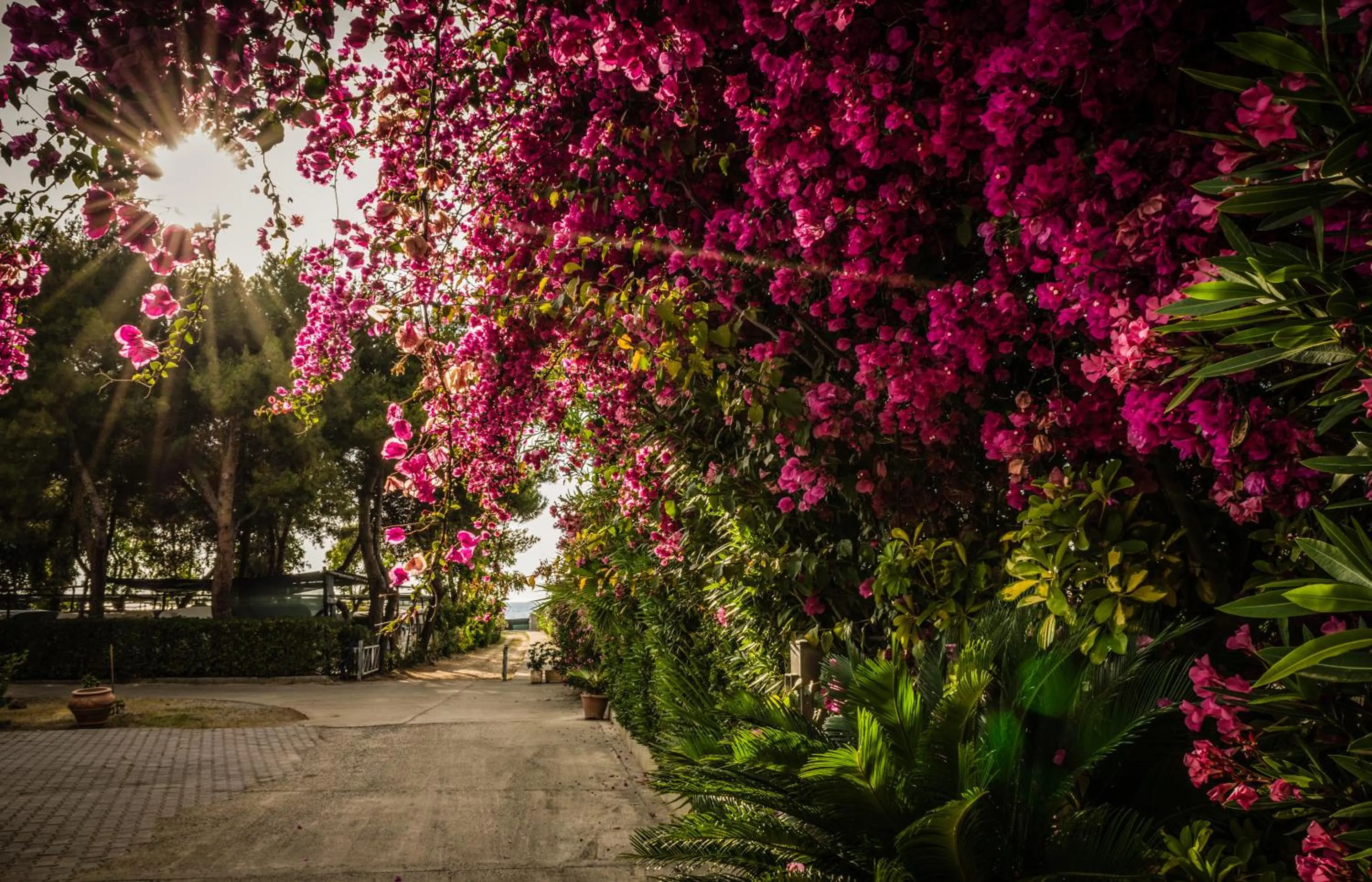 Facade/entrance in Il Calabriano Residence