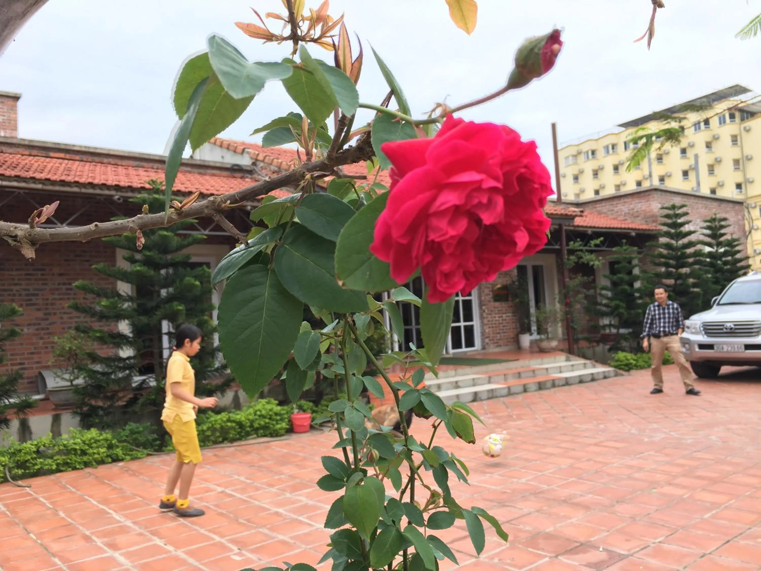 Beach in Ngoc Linh Villas