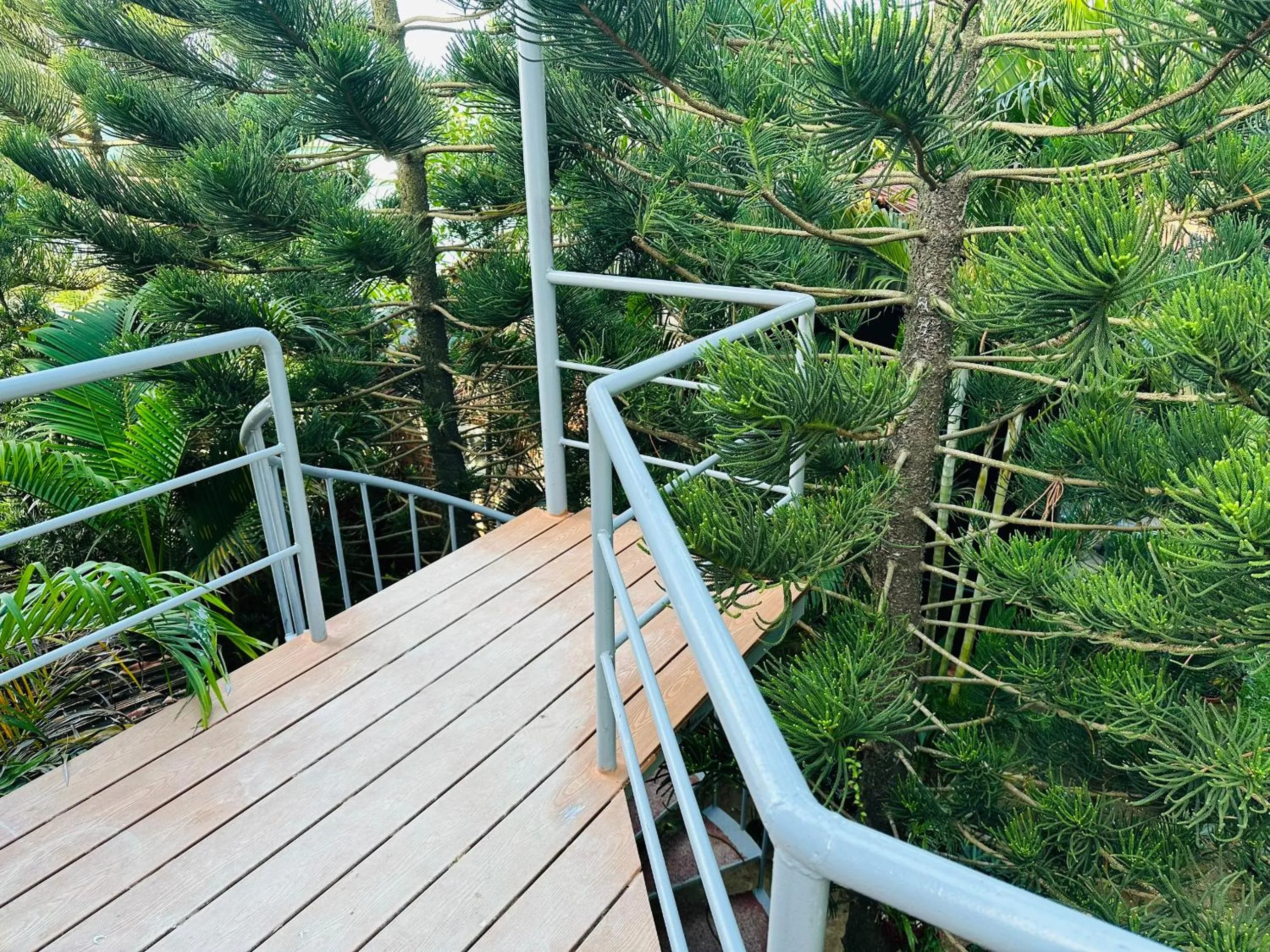 Spring in Ngoc Linh Villas